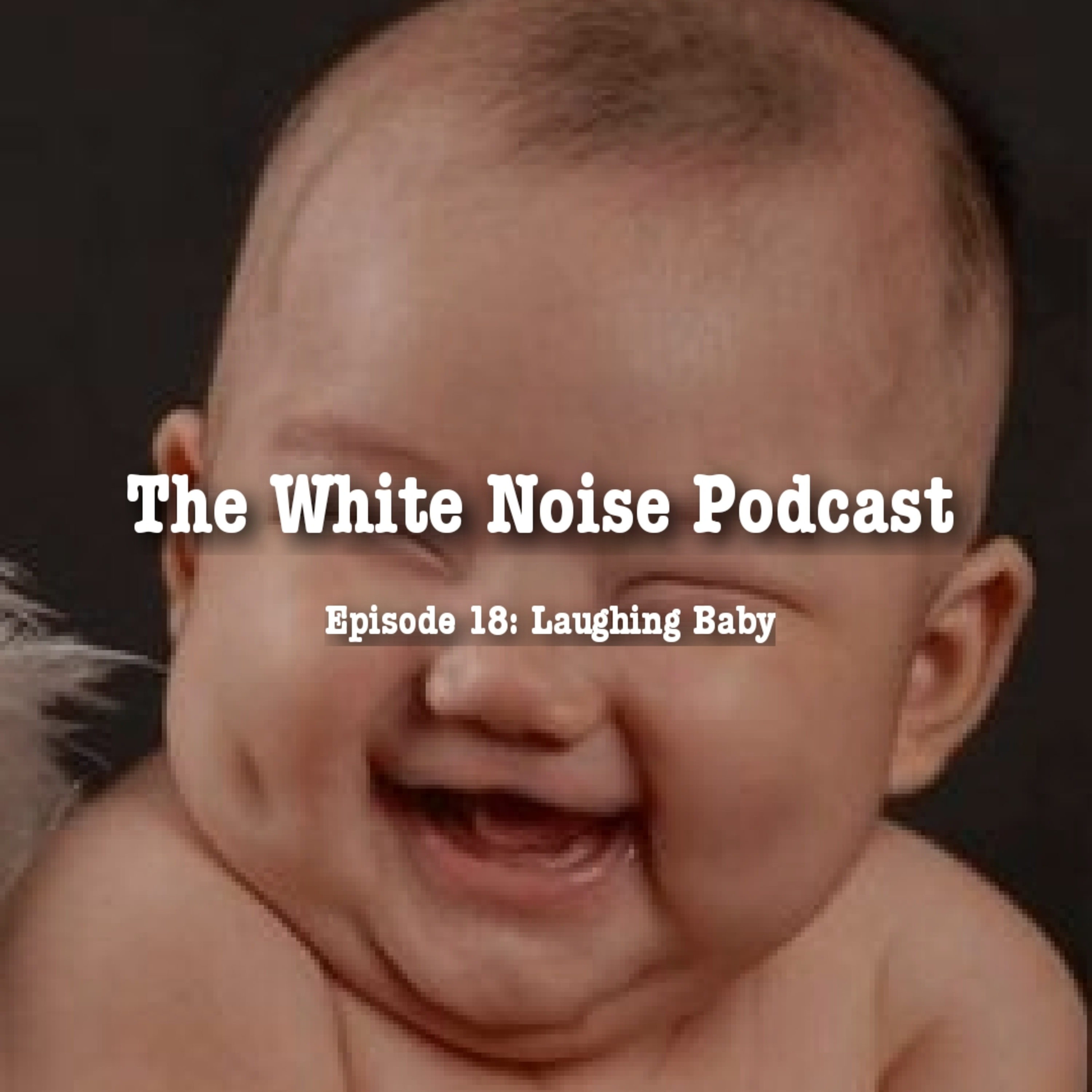 The White Noise Podcast: Its Just White Noise