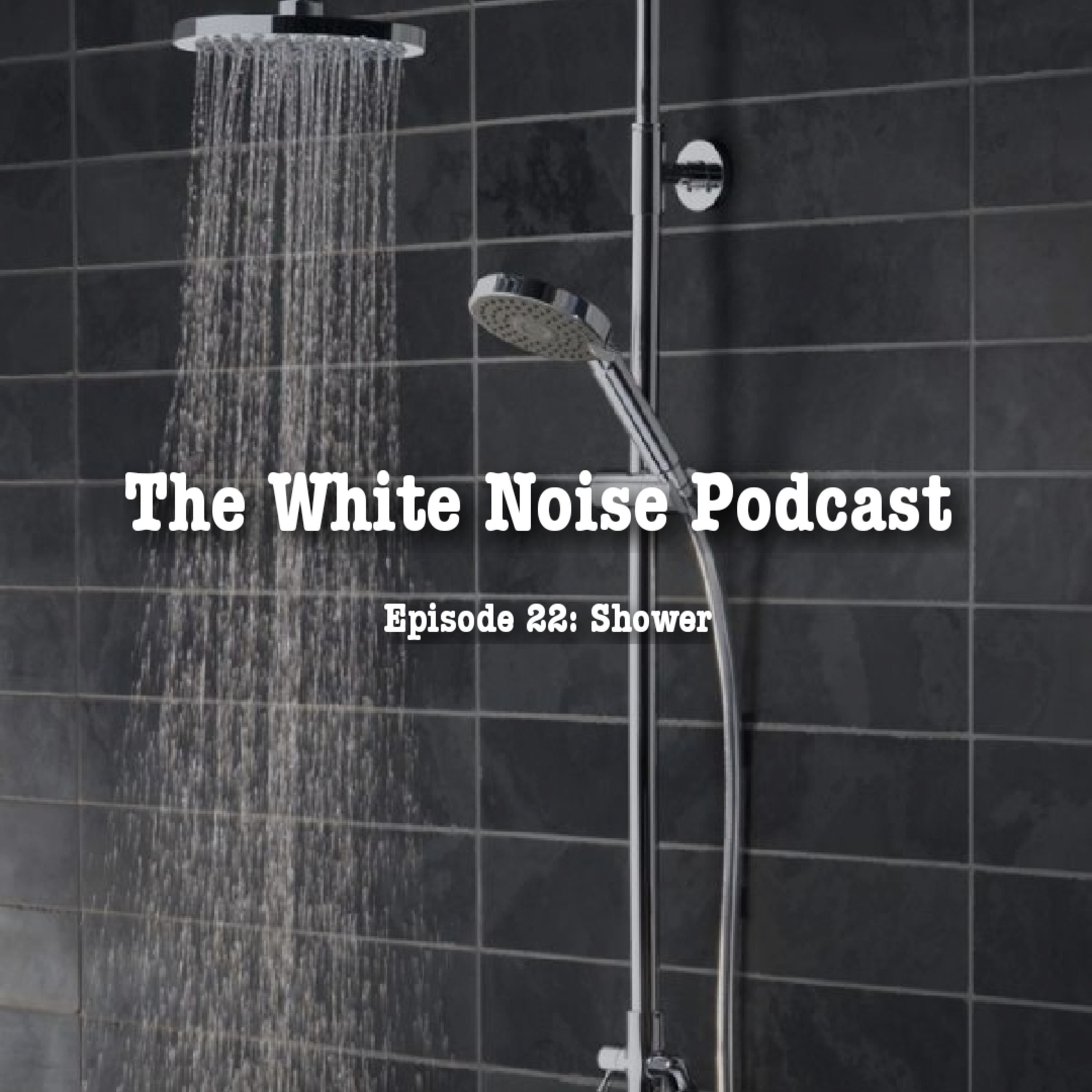 The White Noise Podcast: Its Just White Noise