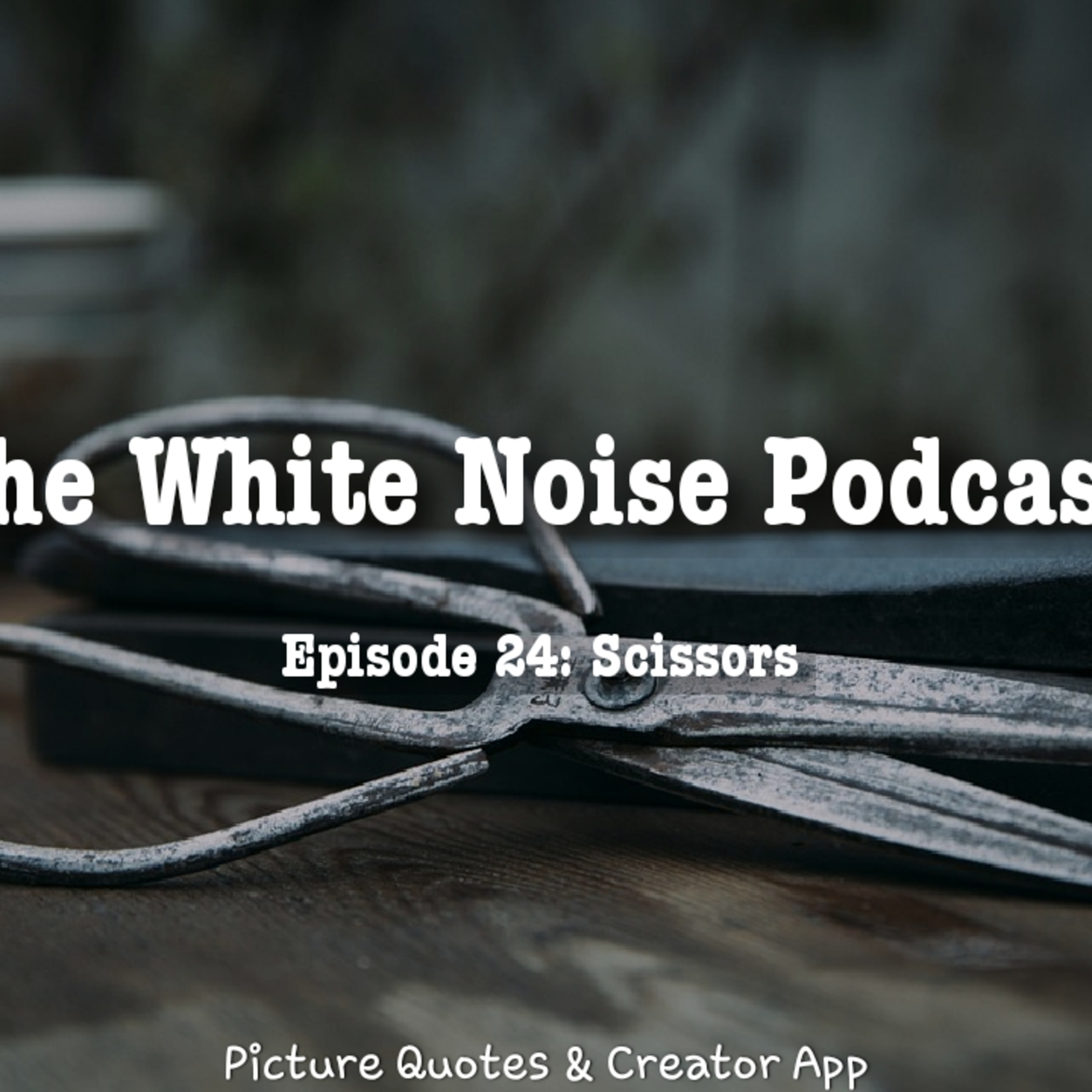 The White Noise Podcast: Its Just White Noise