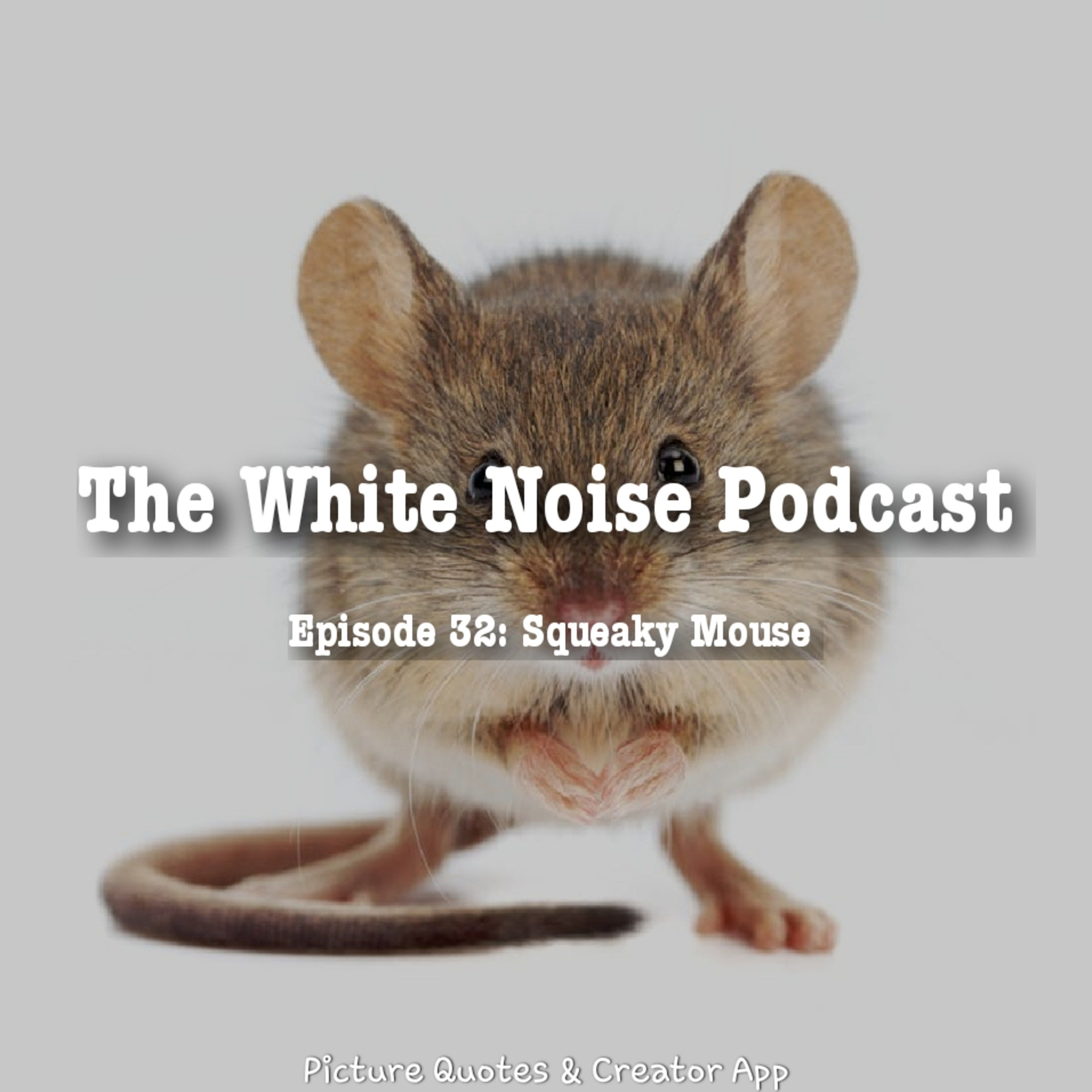 The White Noise Podcast: Its Just White Noise