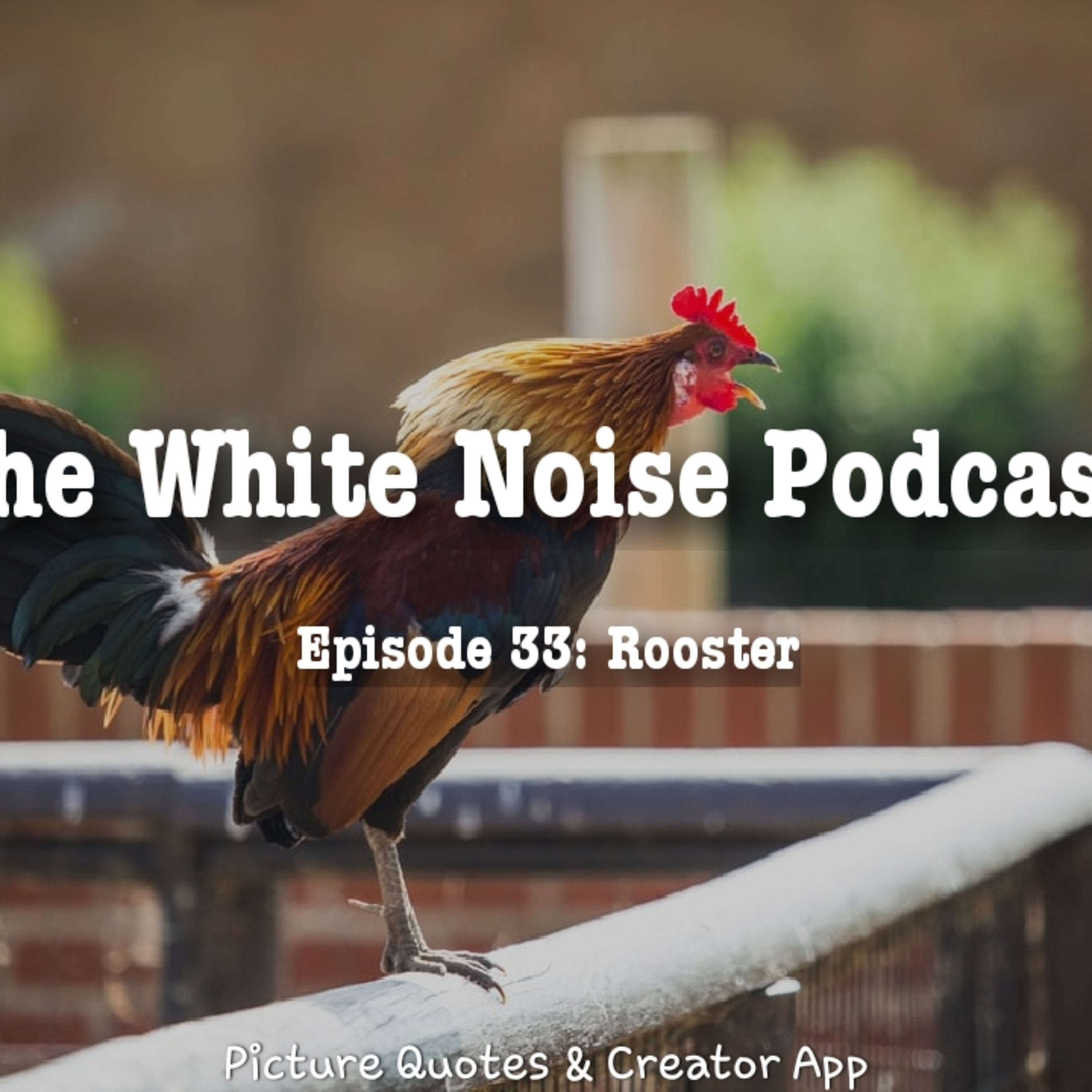 The White Noise Podcast: Its Just White Noise