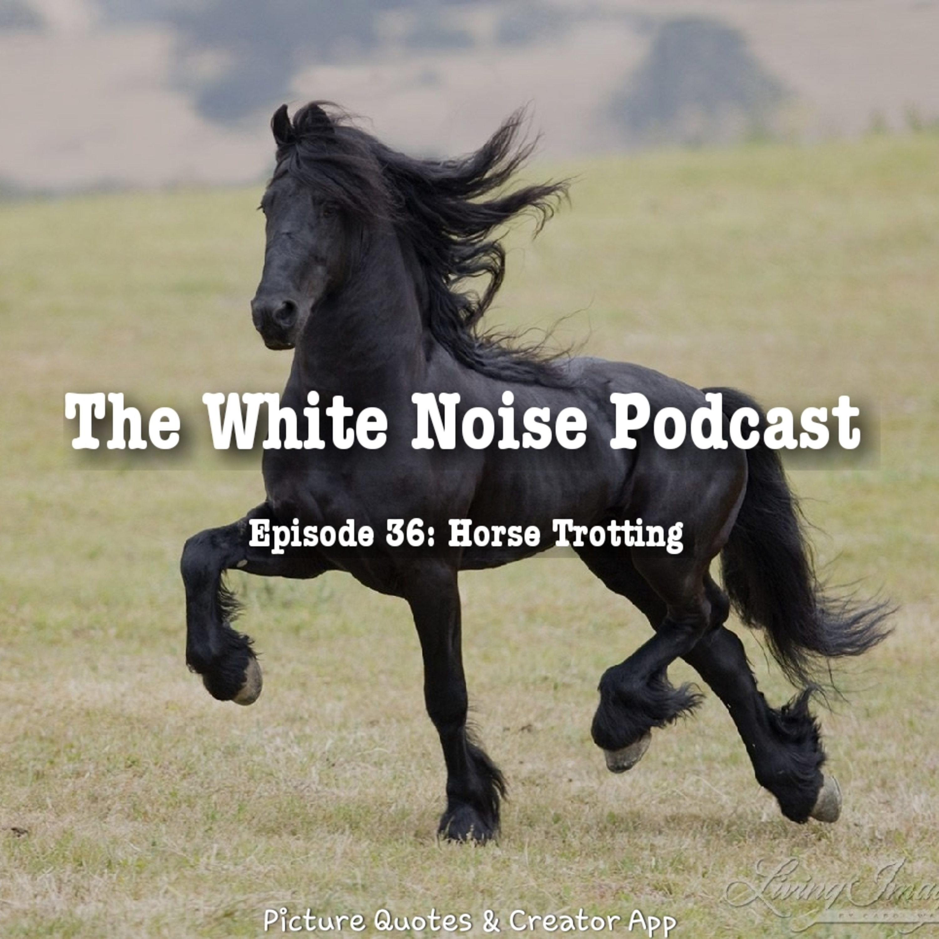 The White Noise Podcast: Its Just White Noise