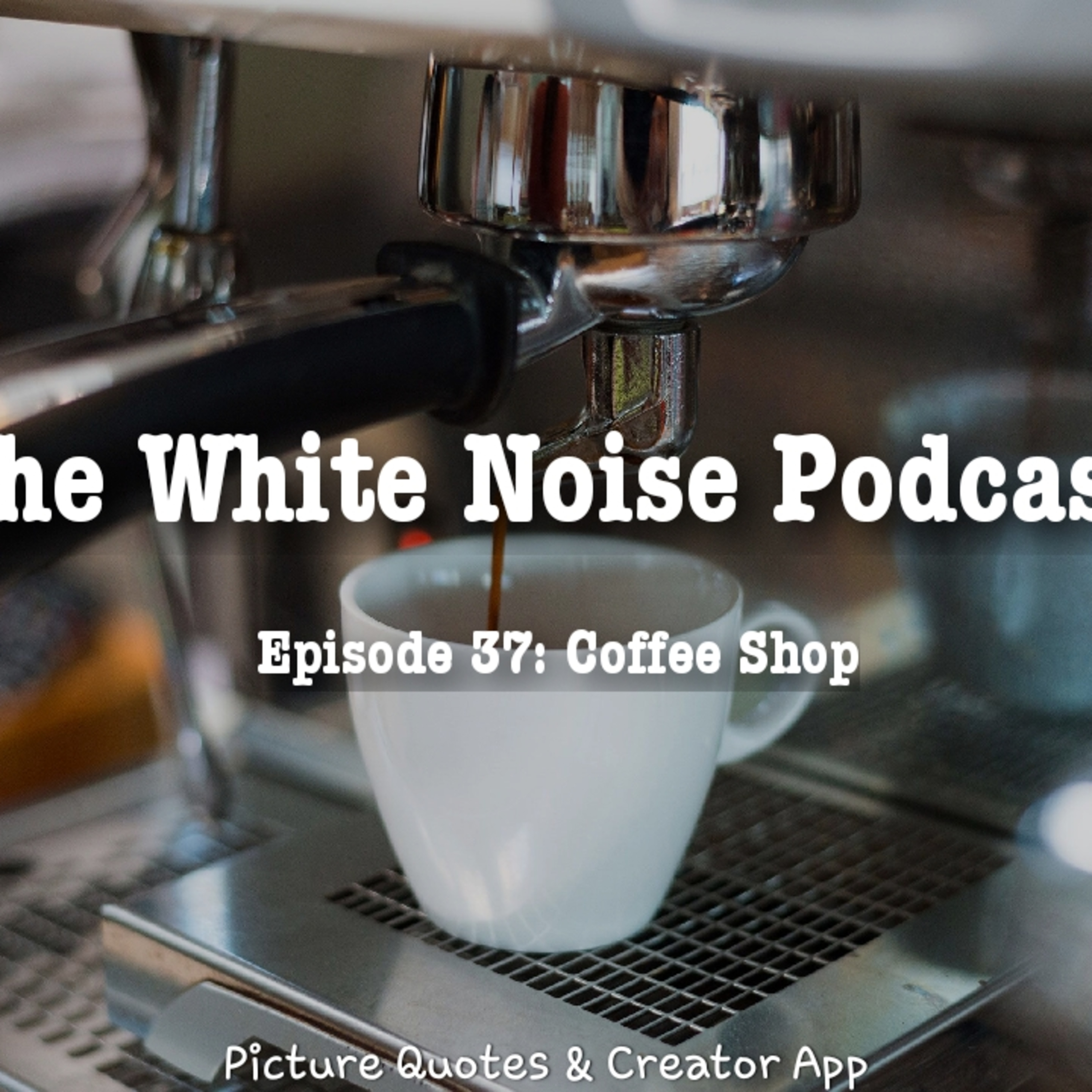 The White Noise Podcast: Its Just White Noise