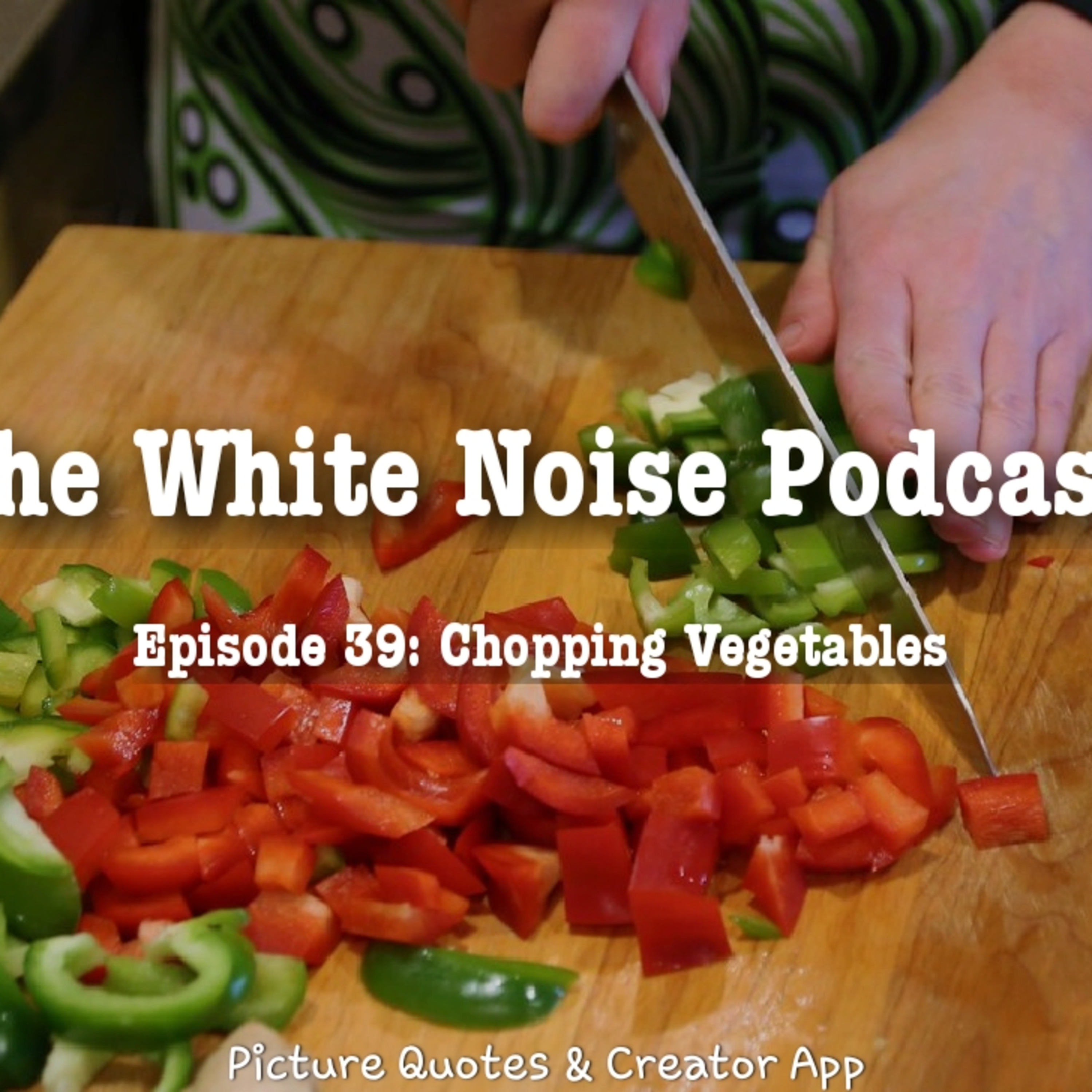 The White Noise Podcast: Its Just White Noise