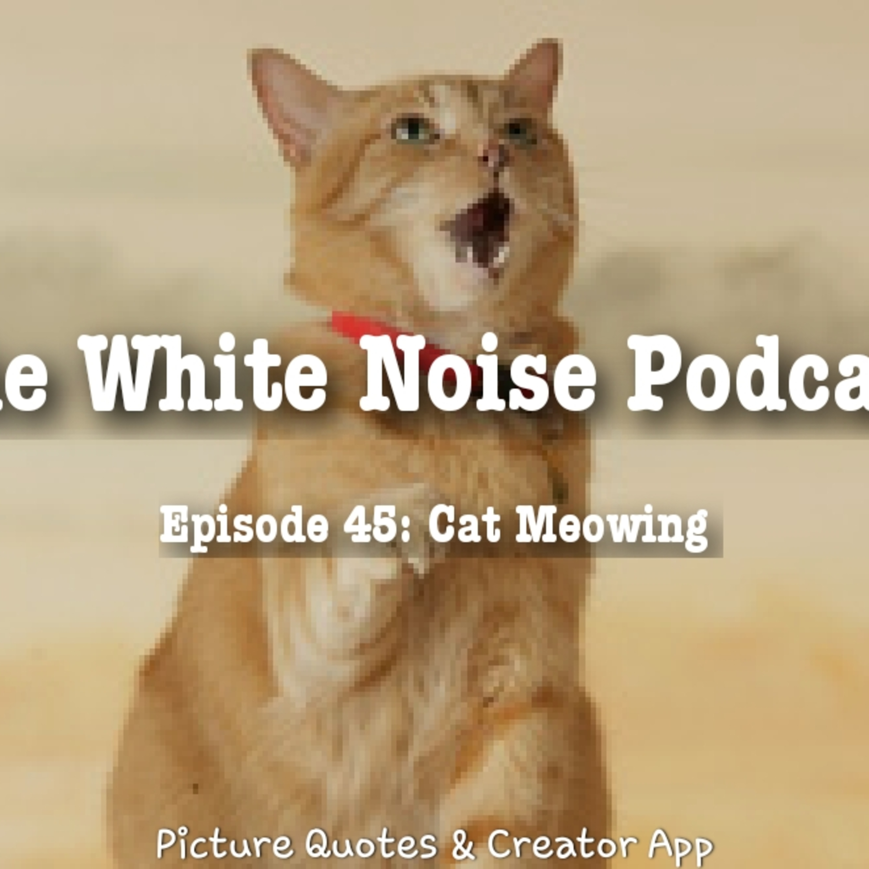The White Noise Podcast: Its Just White Noise