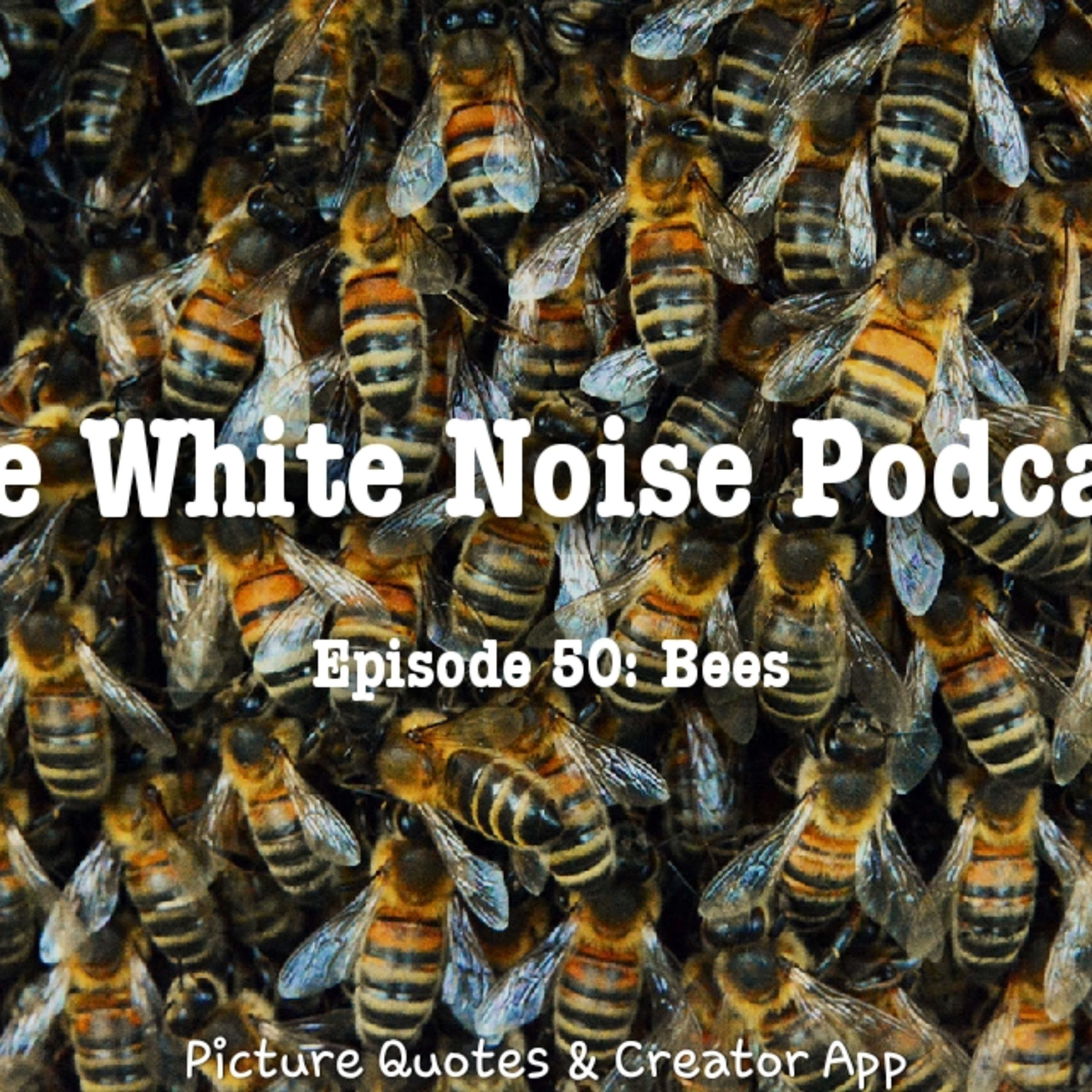 The White Noise Podcast: Its Just White Noise
