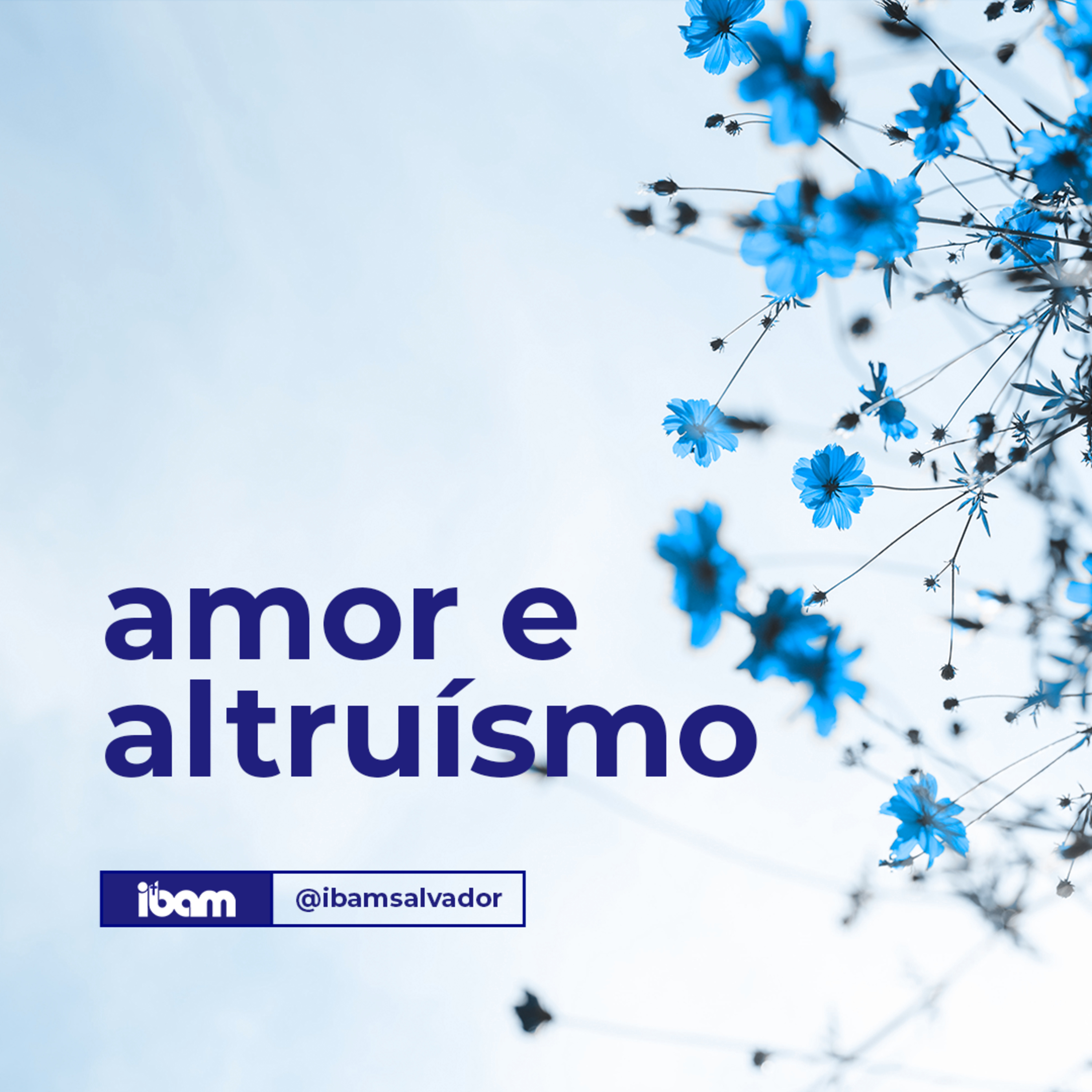 IBAM Salvador