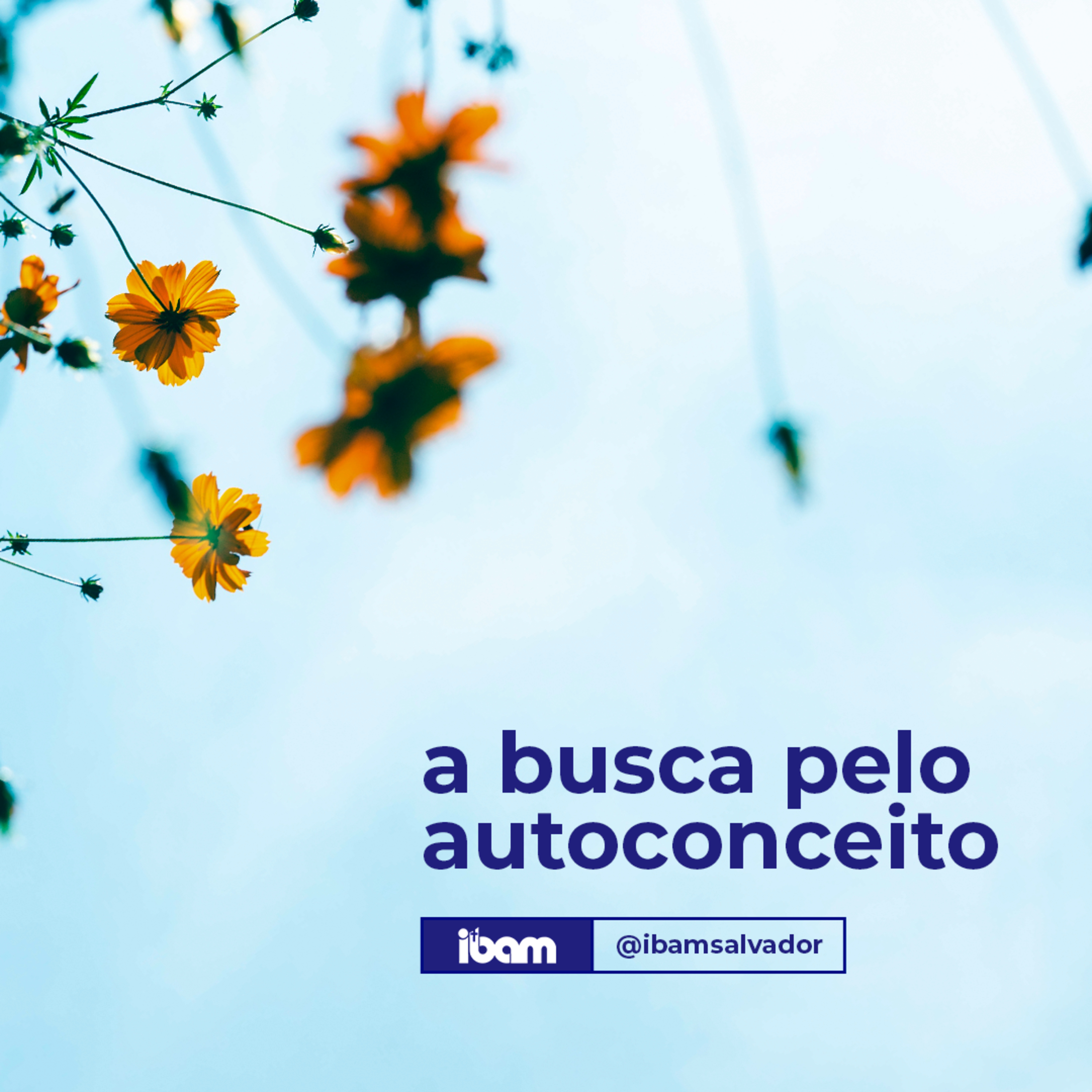 IBAM Salvador