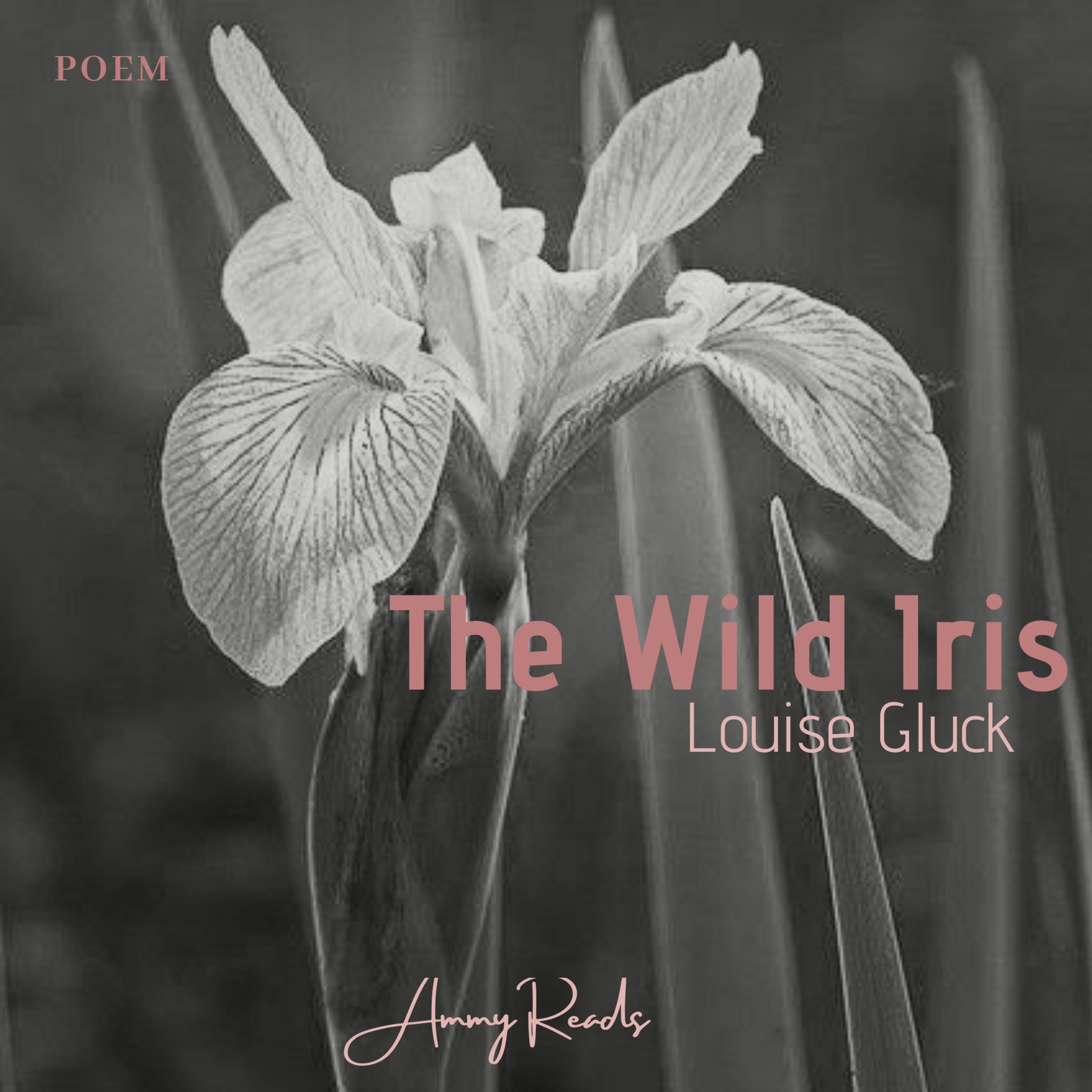 (Poem) The Wild Iris - Louise Gluck episode artwork