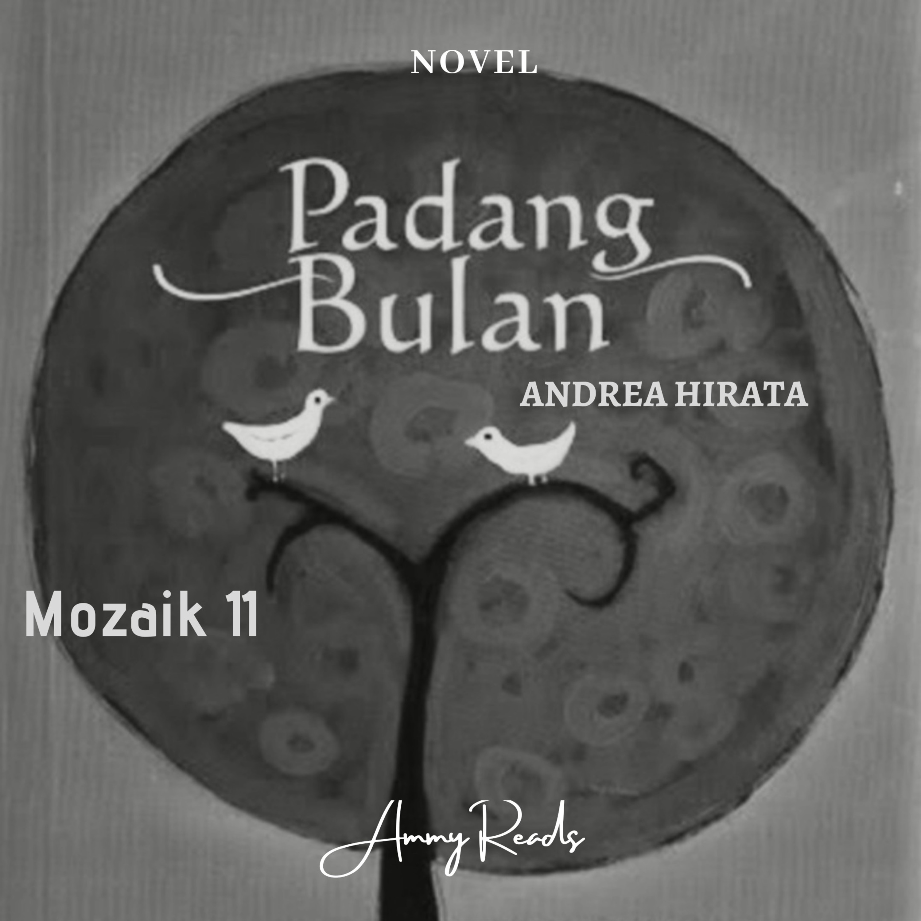 Ammy Reads