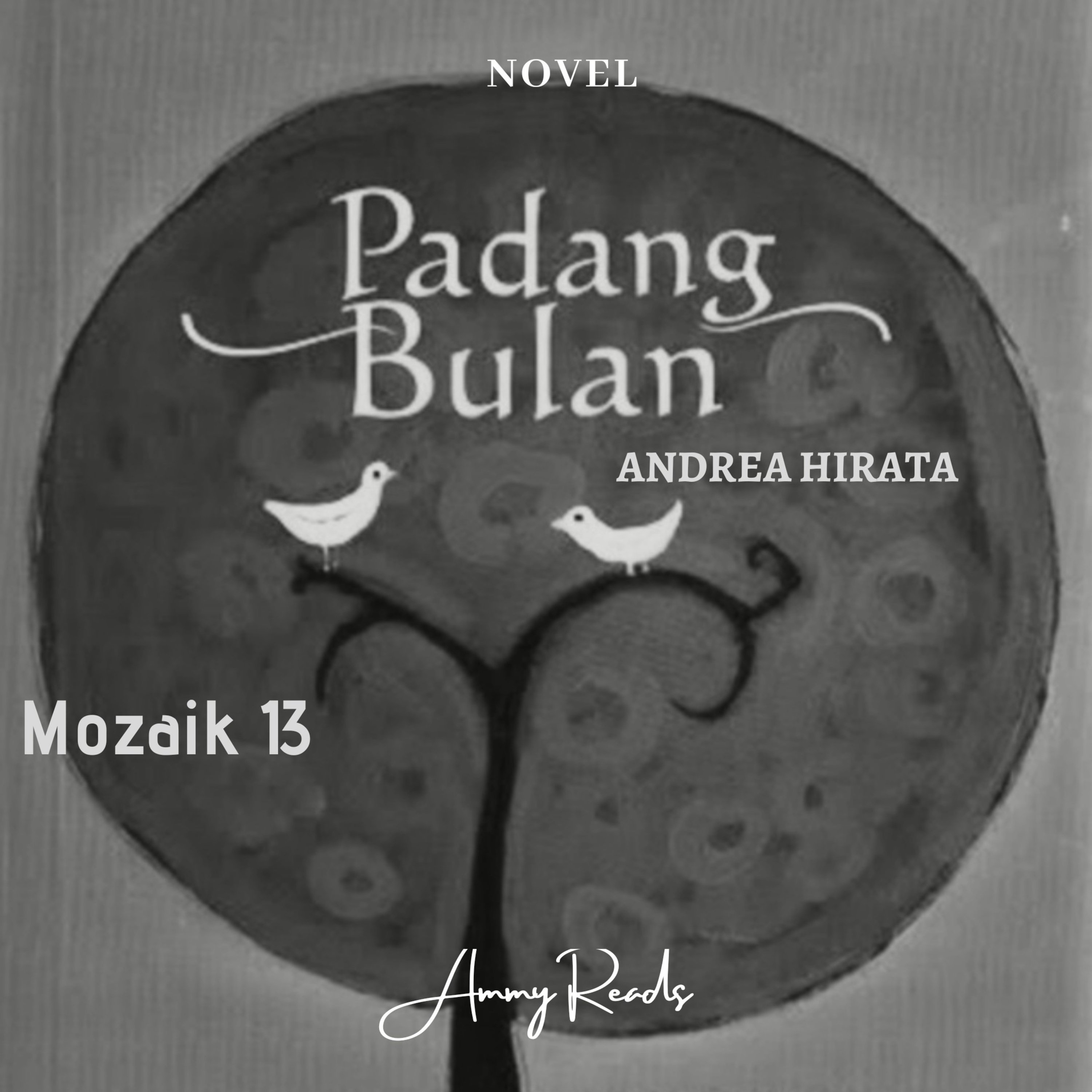 Ammy Reads