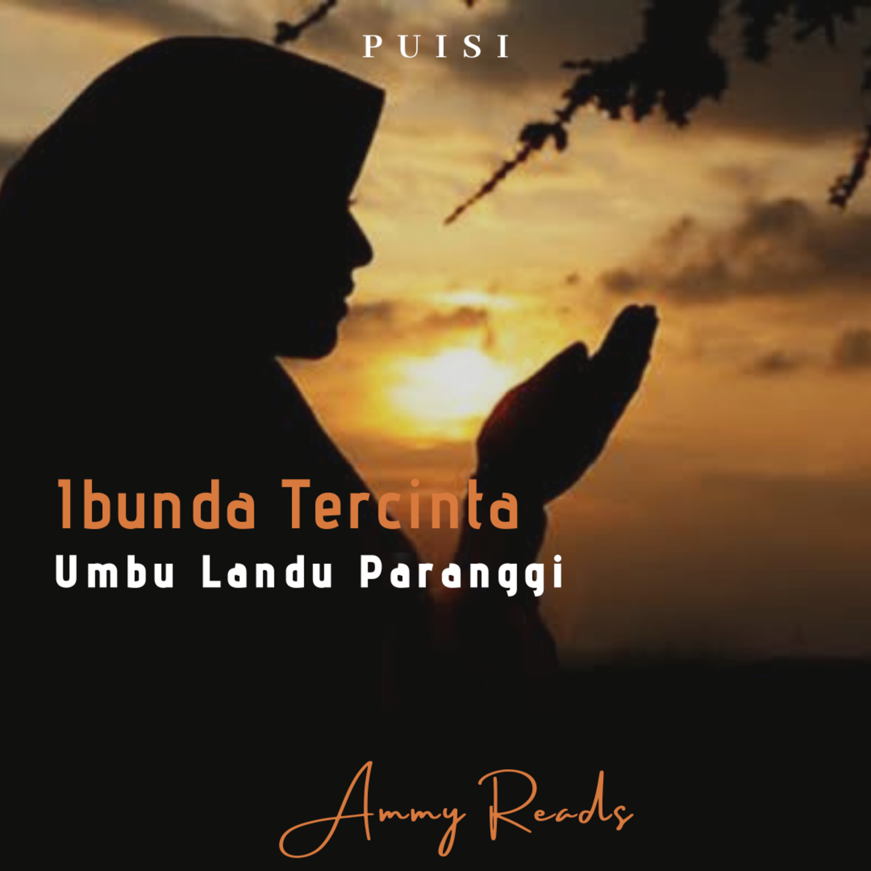 Ammy Reads