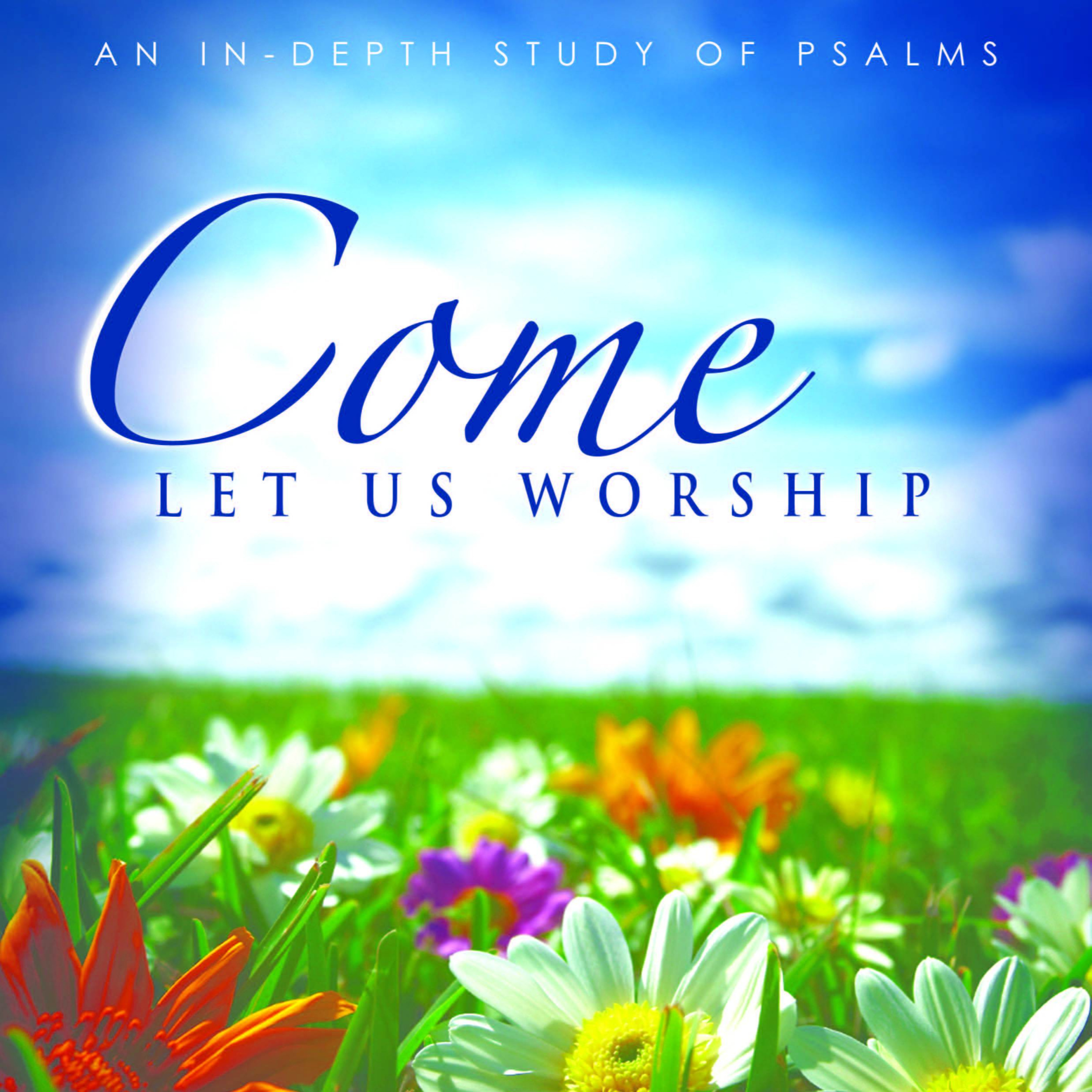 In-depth Bible Study with Elizabeth Ficken