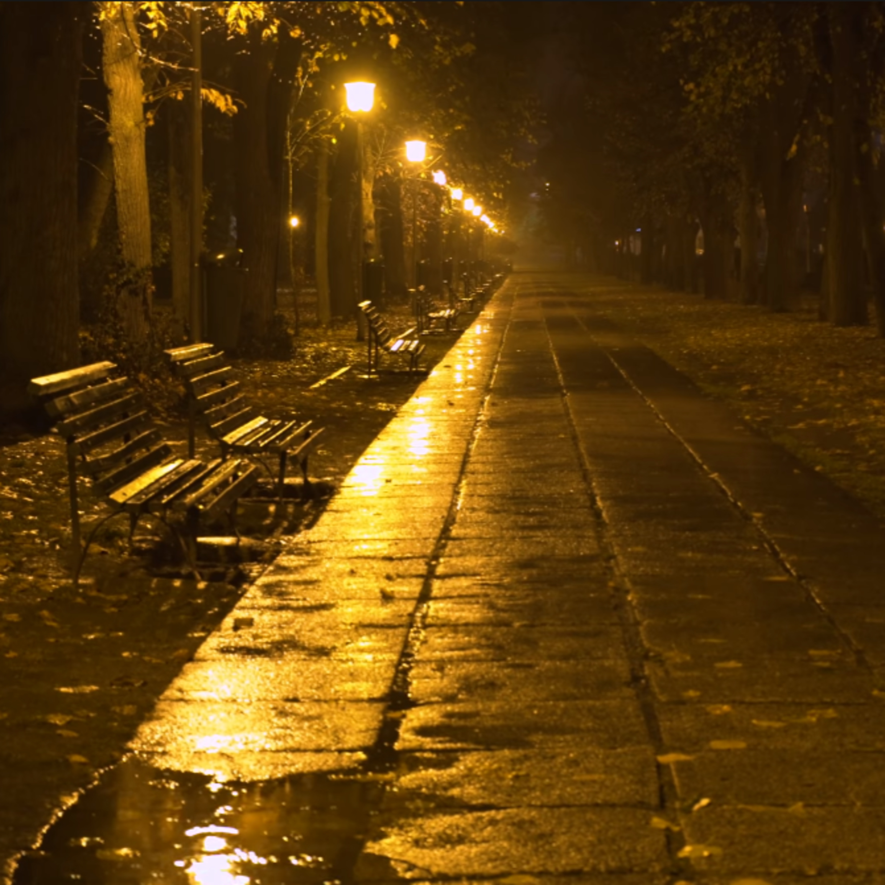 🧘🏼🌧️ 1 hrs. หลักยึดของใจ+Rain on swamp sound