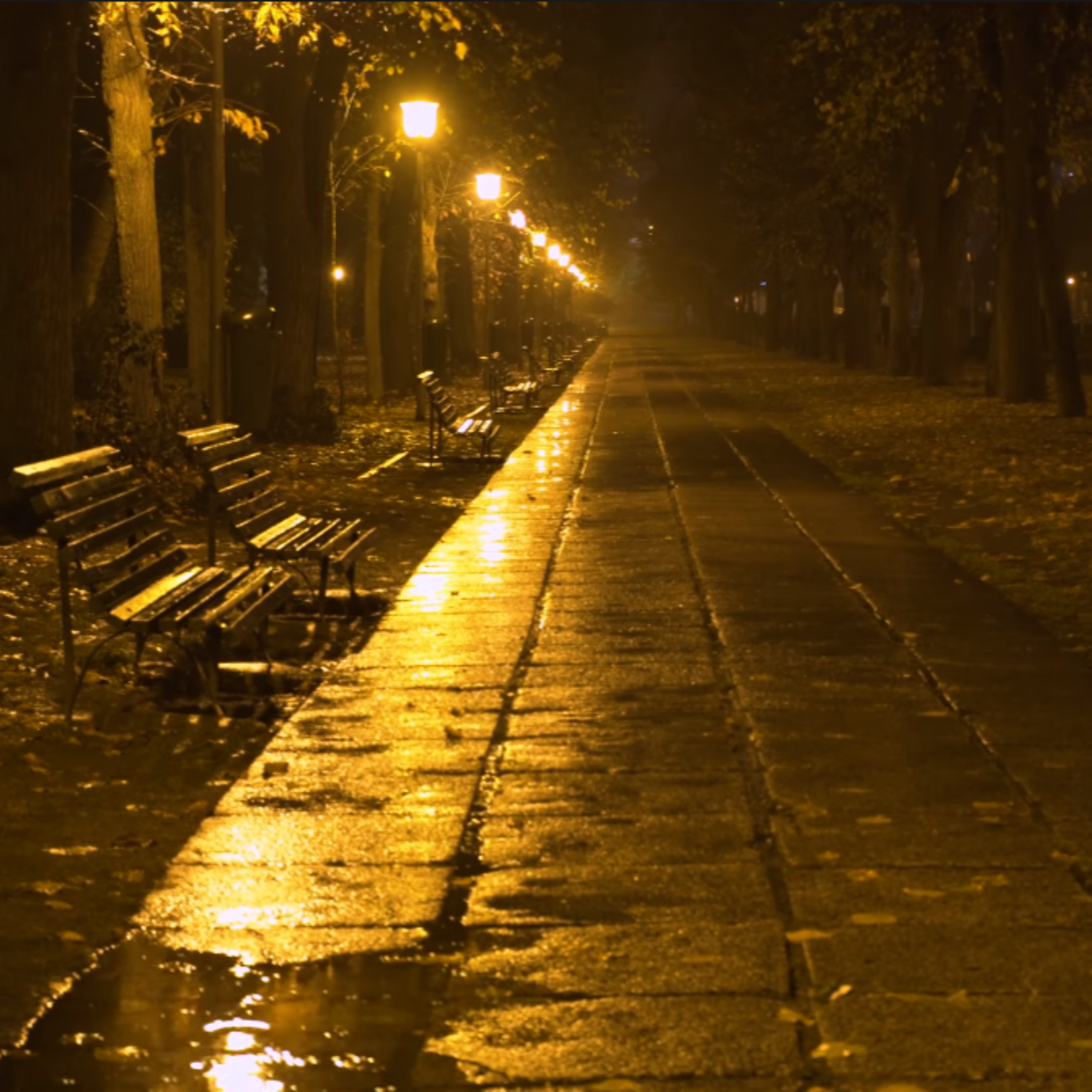 🧘🏼🌧️ 1.30 hrs หลักยึดของใจ+Rain on swamp sound