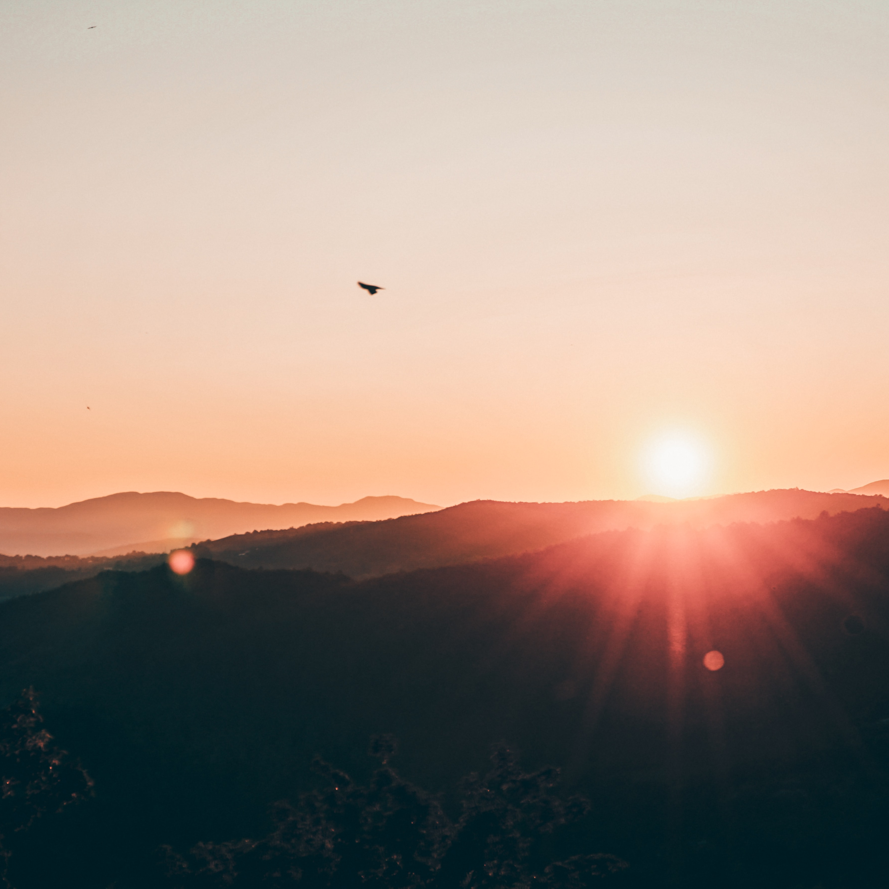 🧘🏼🌊 2ชม. ปล่อยวางทุกสิ่ง พบสุขภายใน+นั่งริมน้ำ