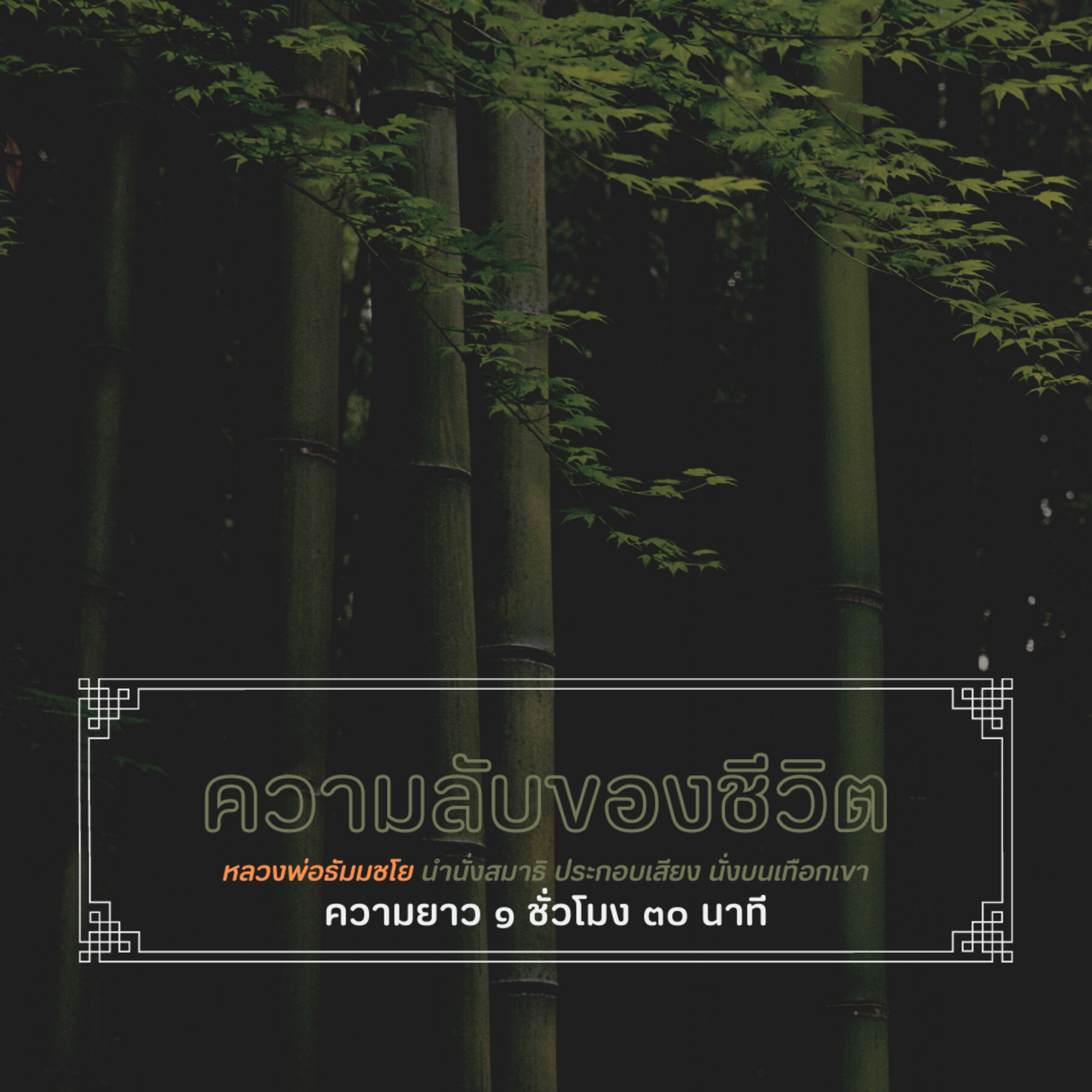 ⛰️ 1.30 ชม. ความลับของชีวิต