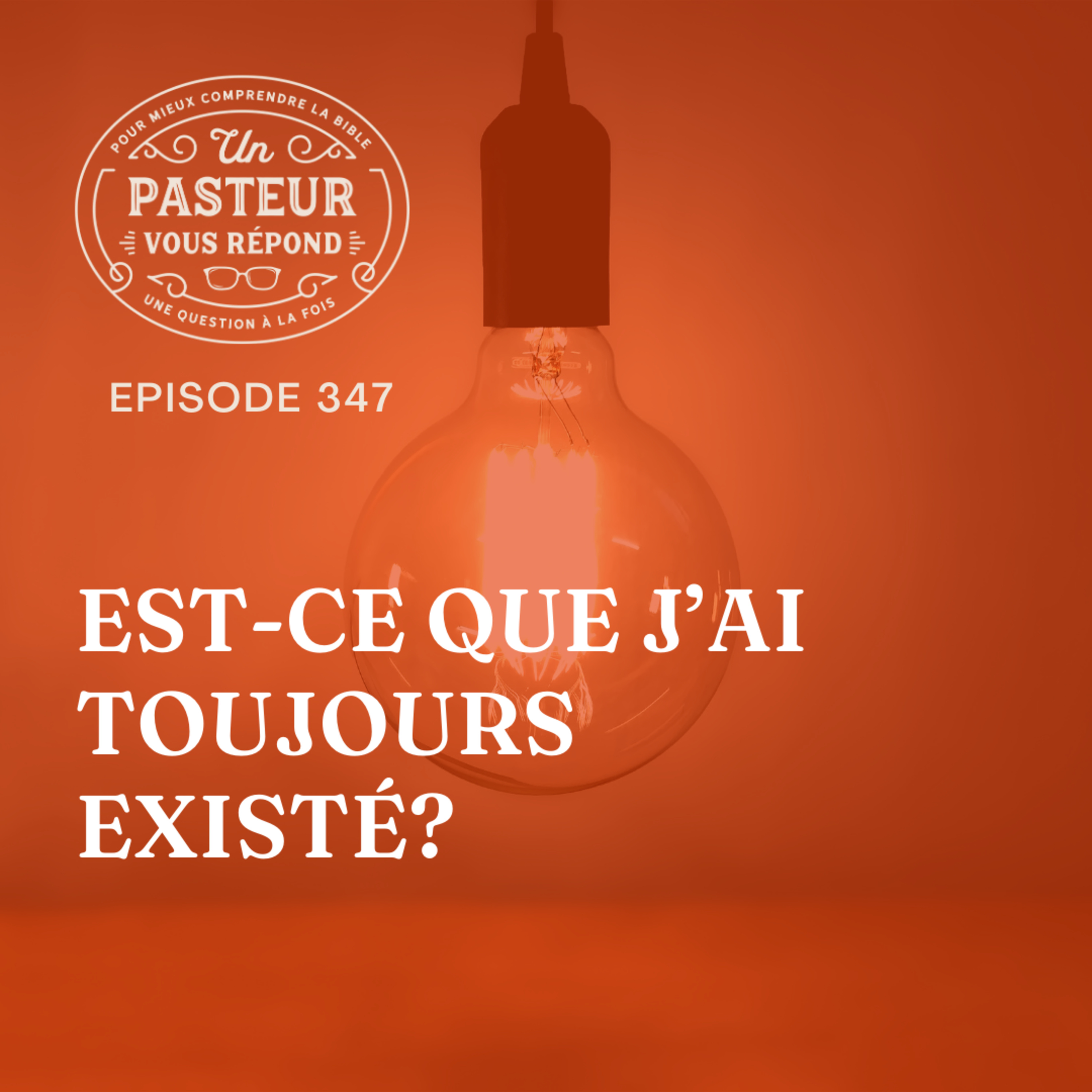 Est-ce que j’ai toujours existé? (Épisode 347) episode artwork
