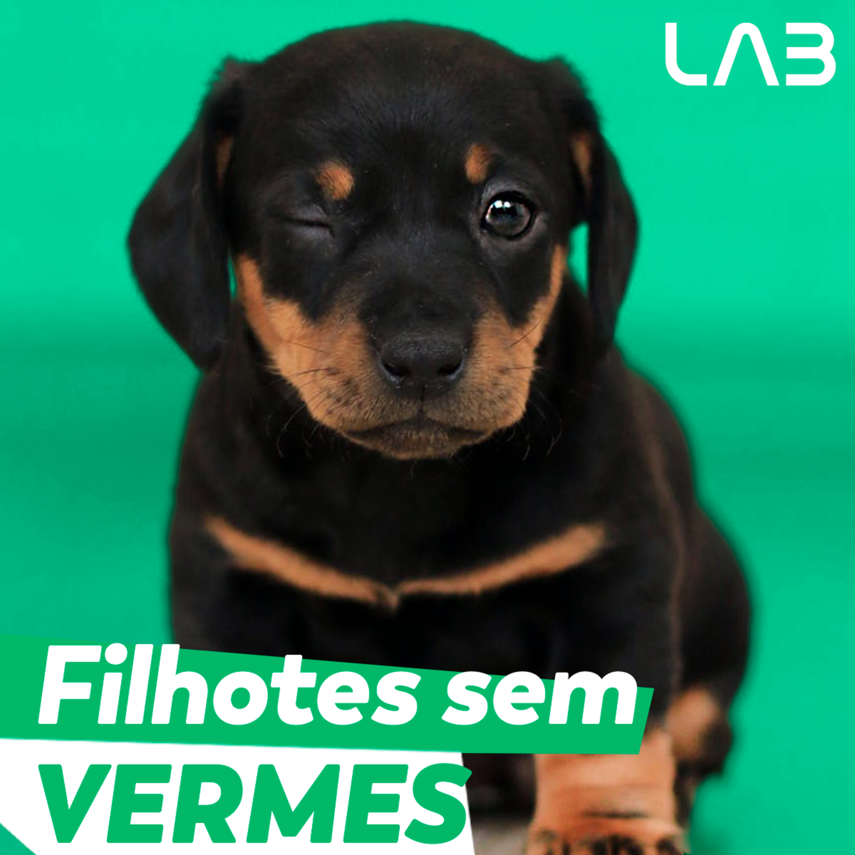 LabCast - O Podcast da Labgard!