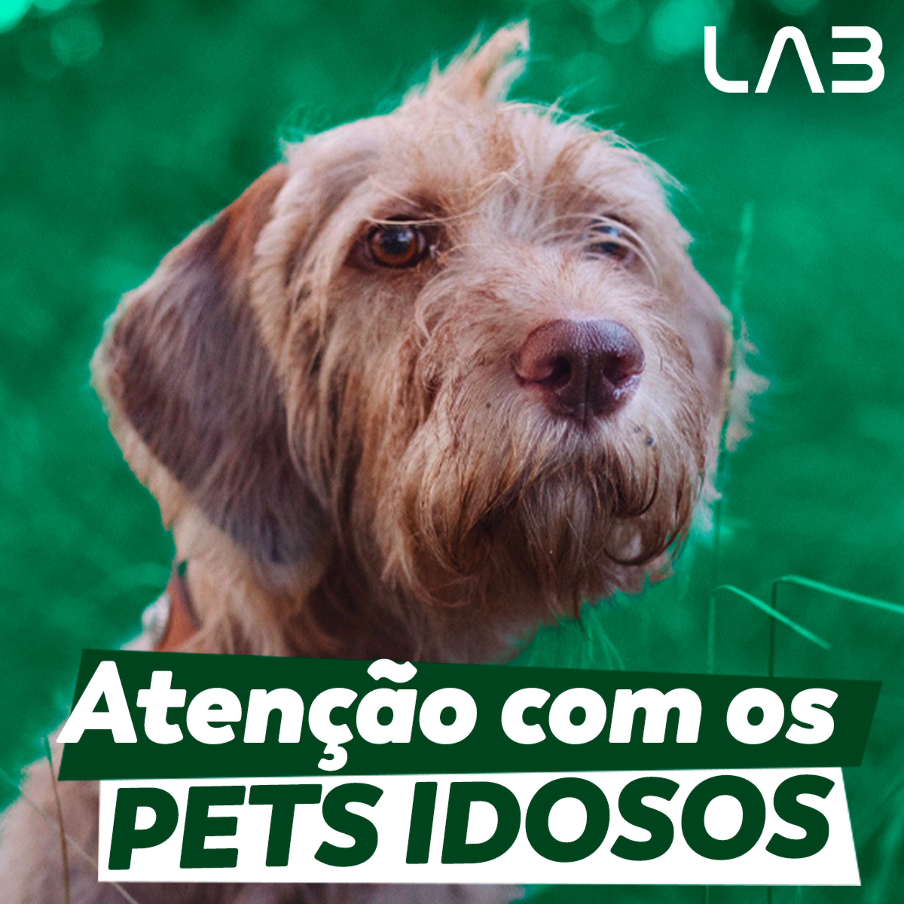 LabCast - O Podcast da Labgard!