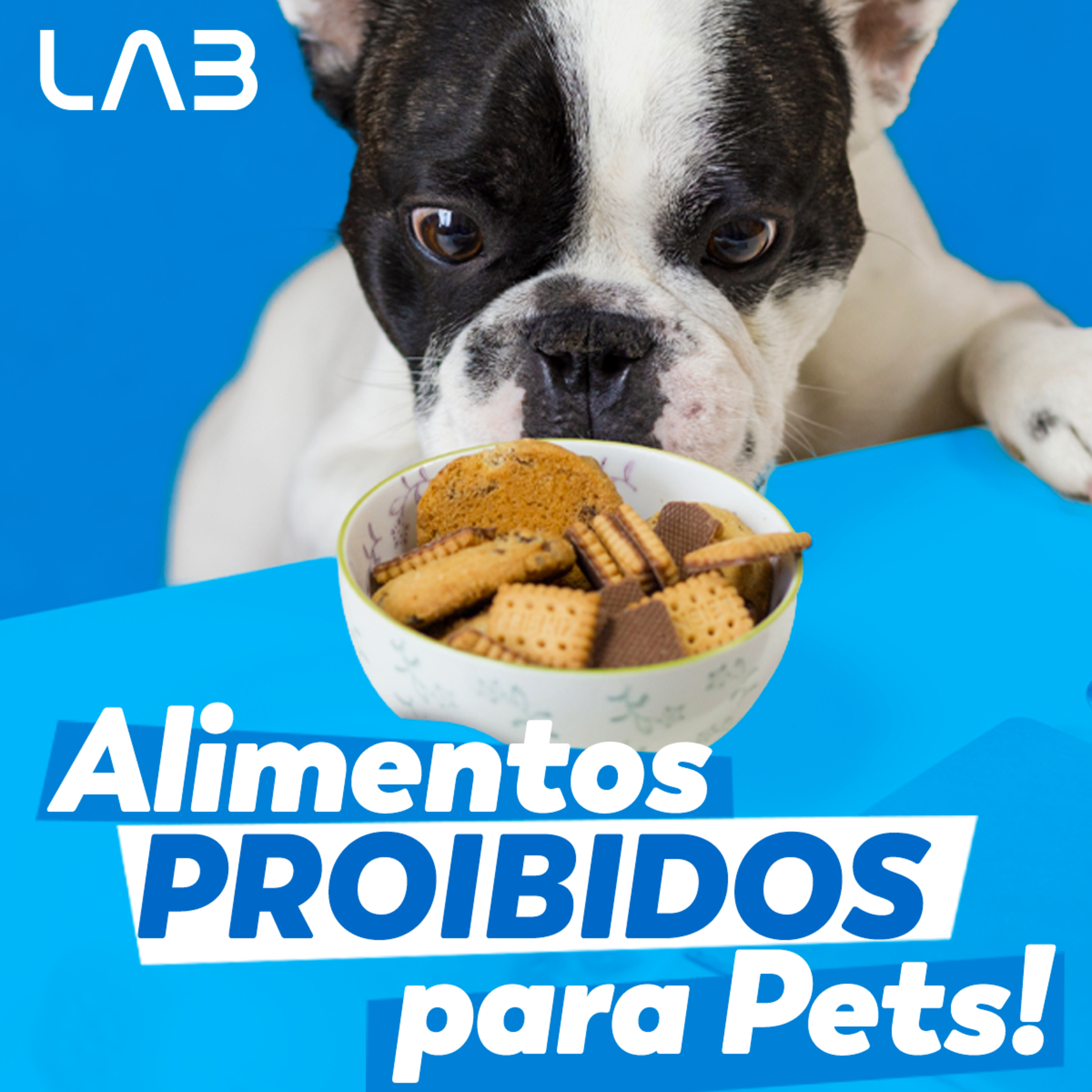 LabCast - O Podcast da Labgard!