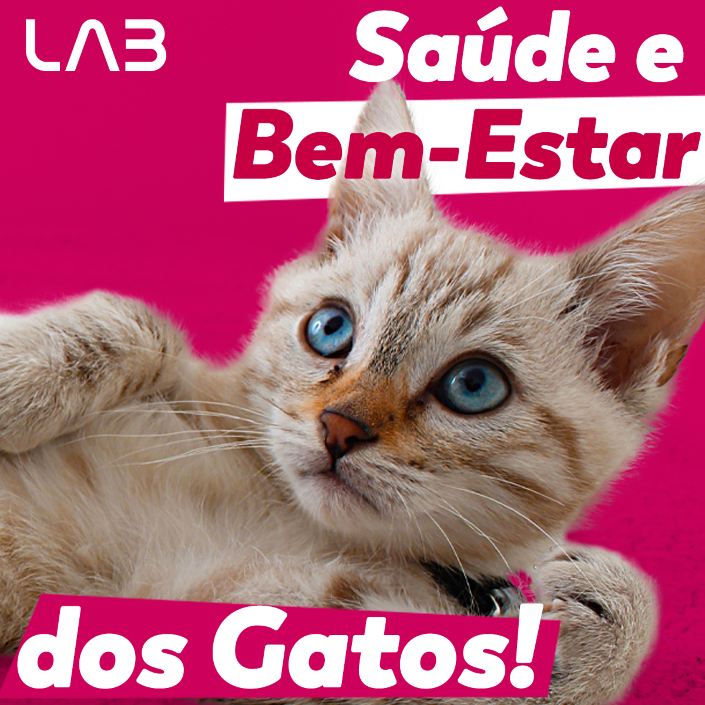 LabCast - O Podcast da Labgard!