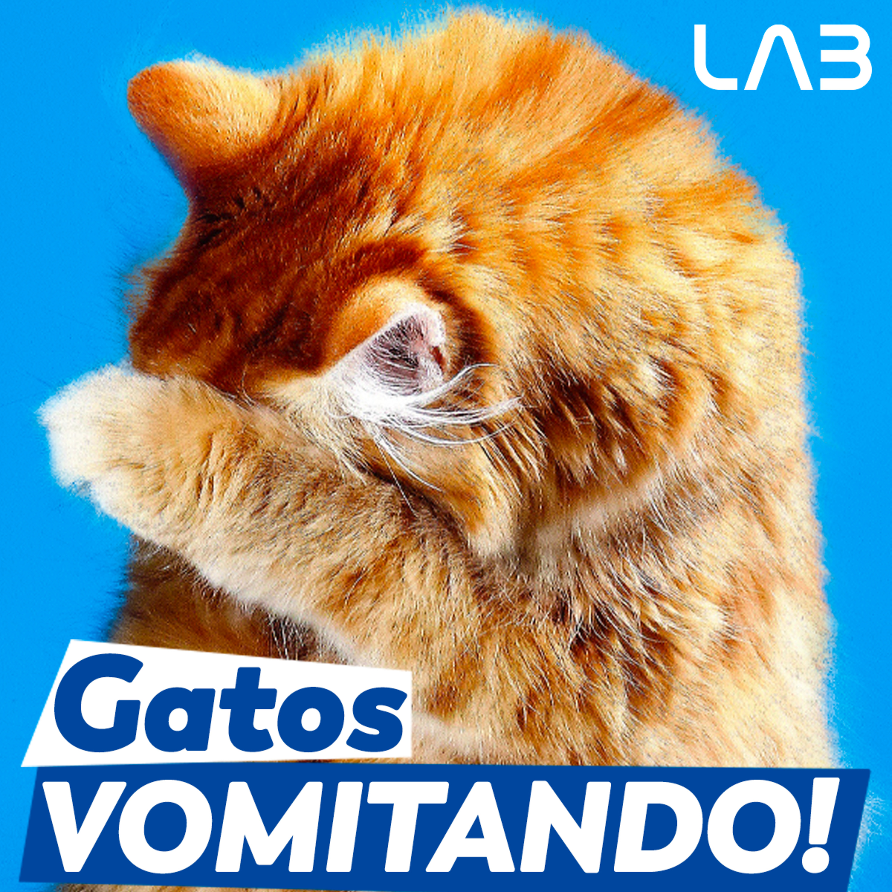 LabCast - O Podcast da Labgard!