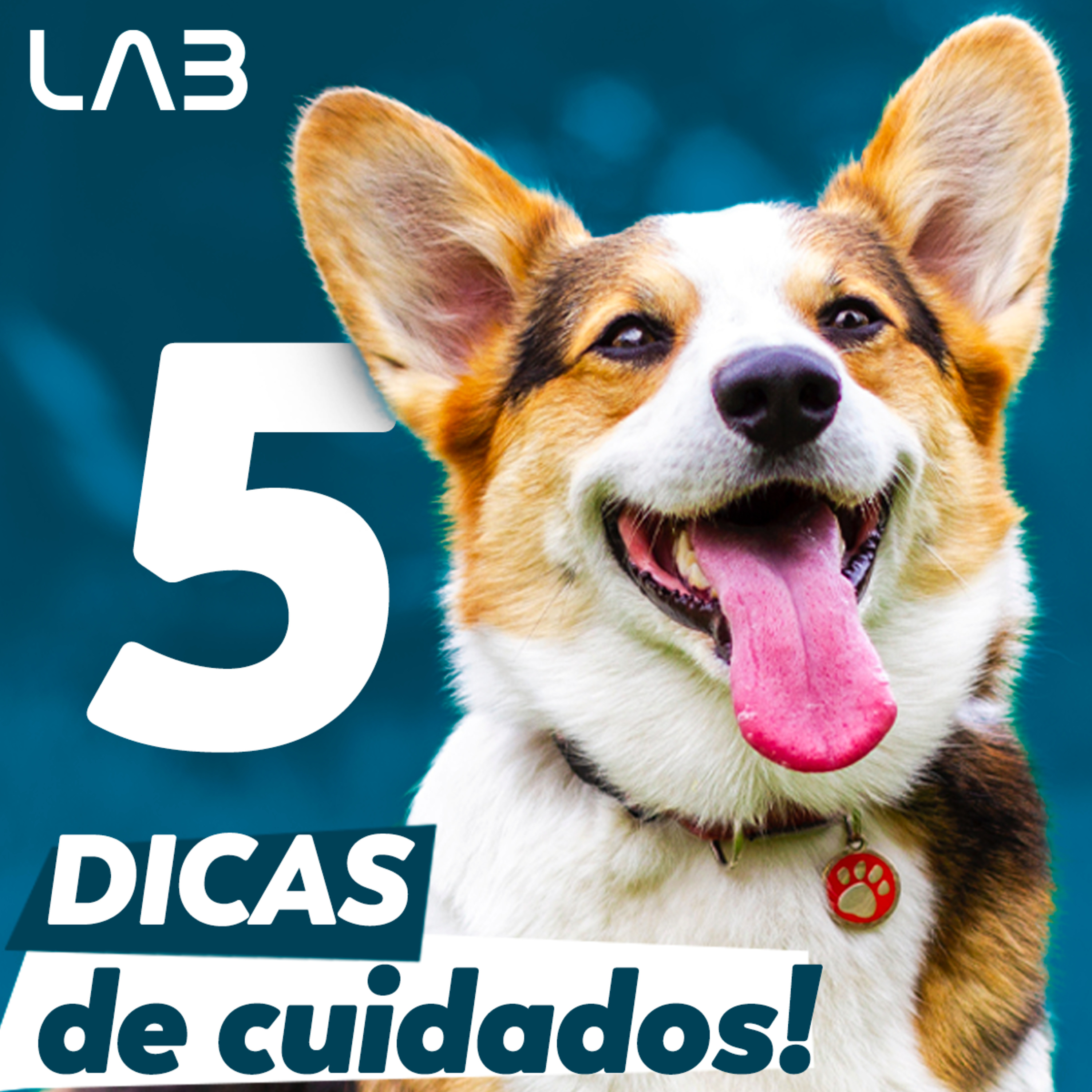 LabCast - O Podcast da Labgard!