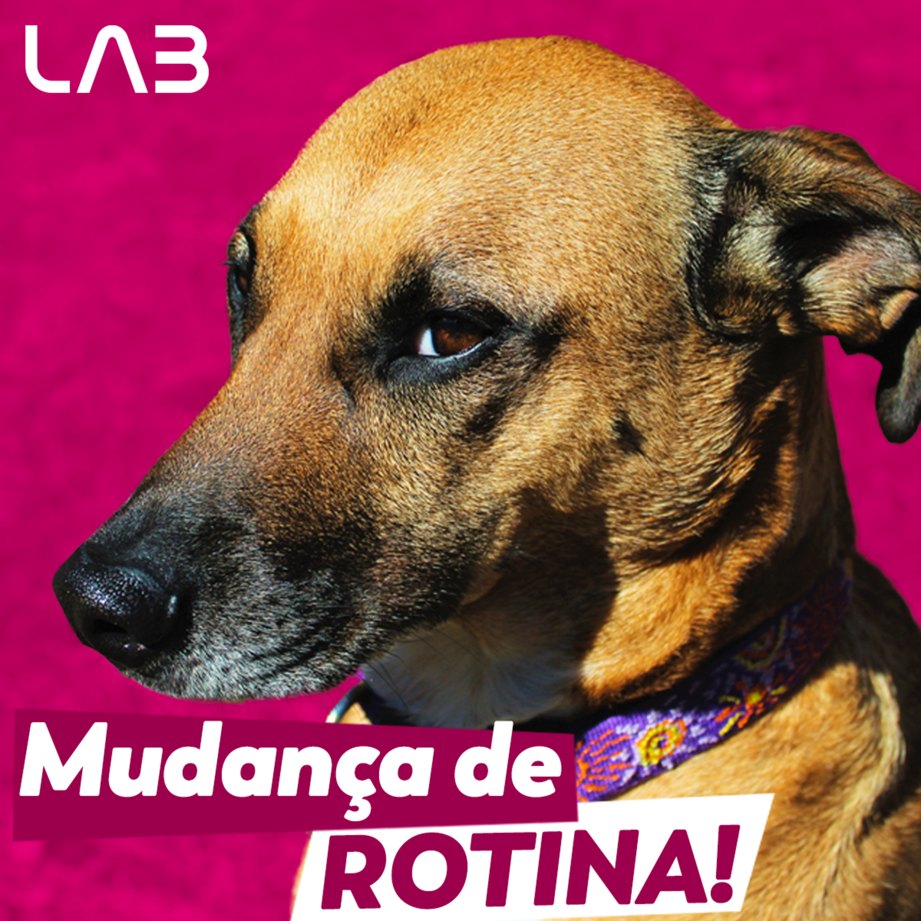 LabCast - O Podcast da Labgard!