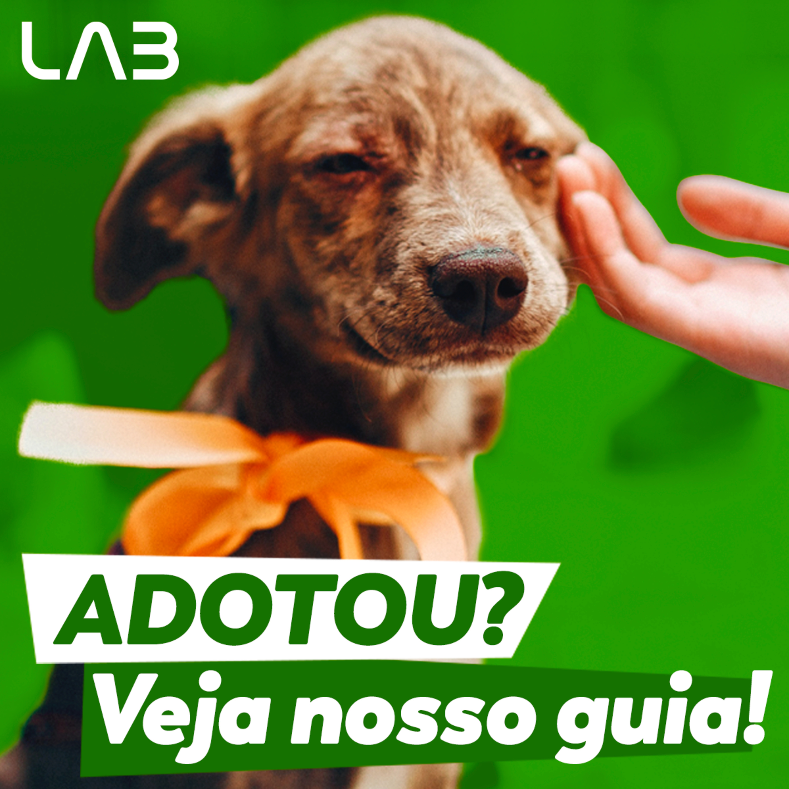 LabCast - O Podcast da Labgard!