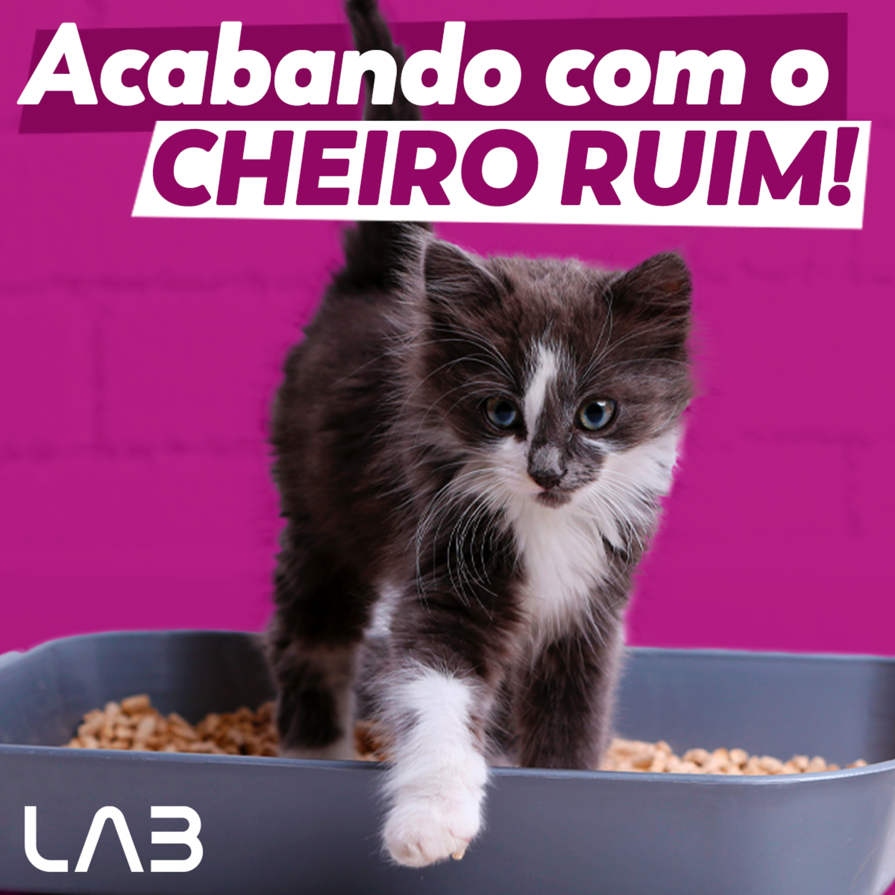 LabCast - O Podcast da Labgard!