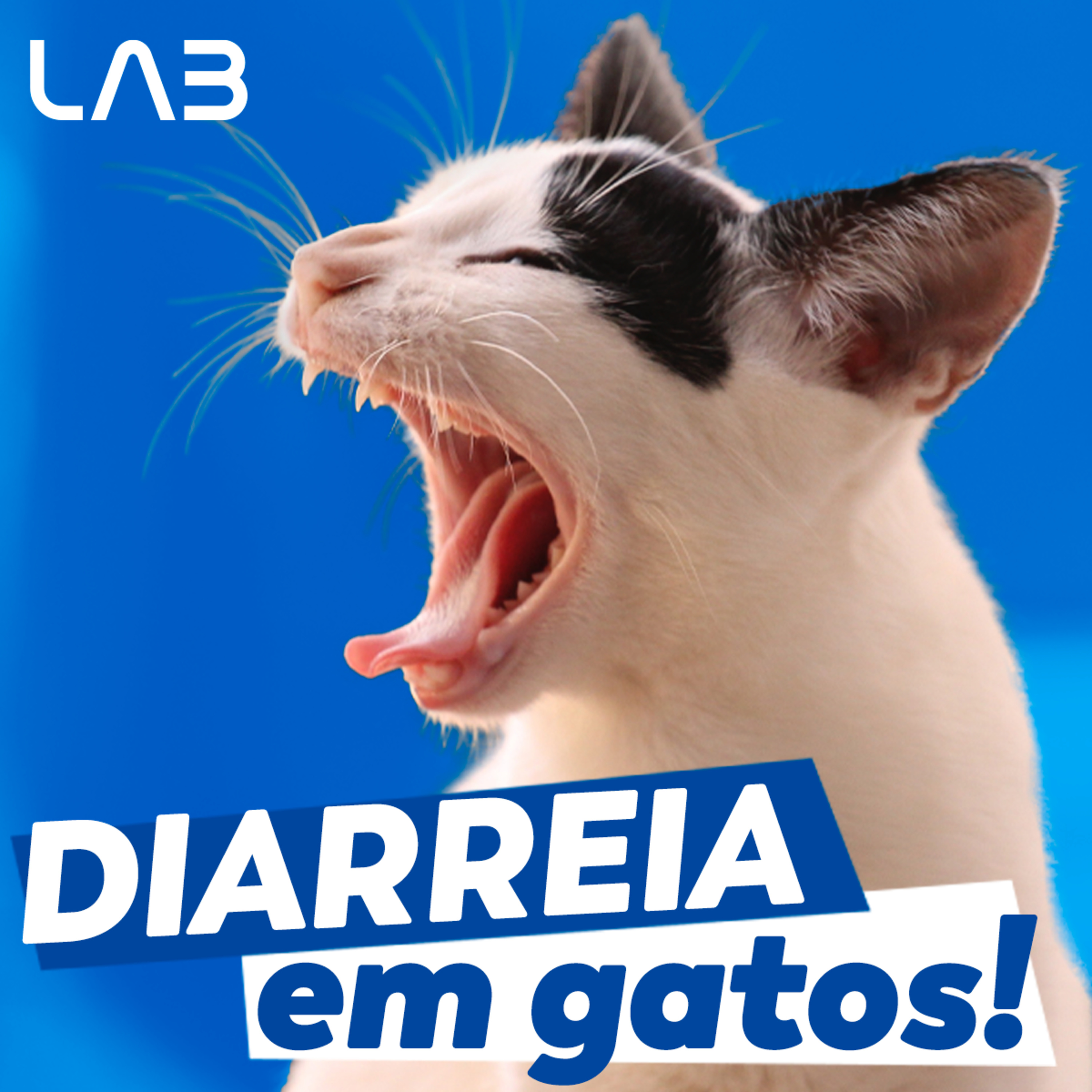 LabCast - O Podcast da Labgard!