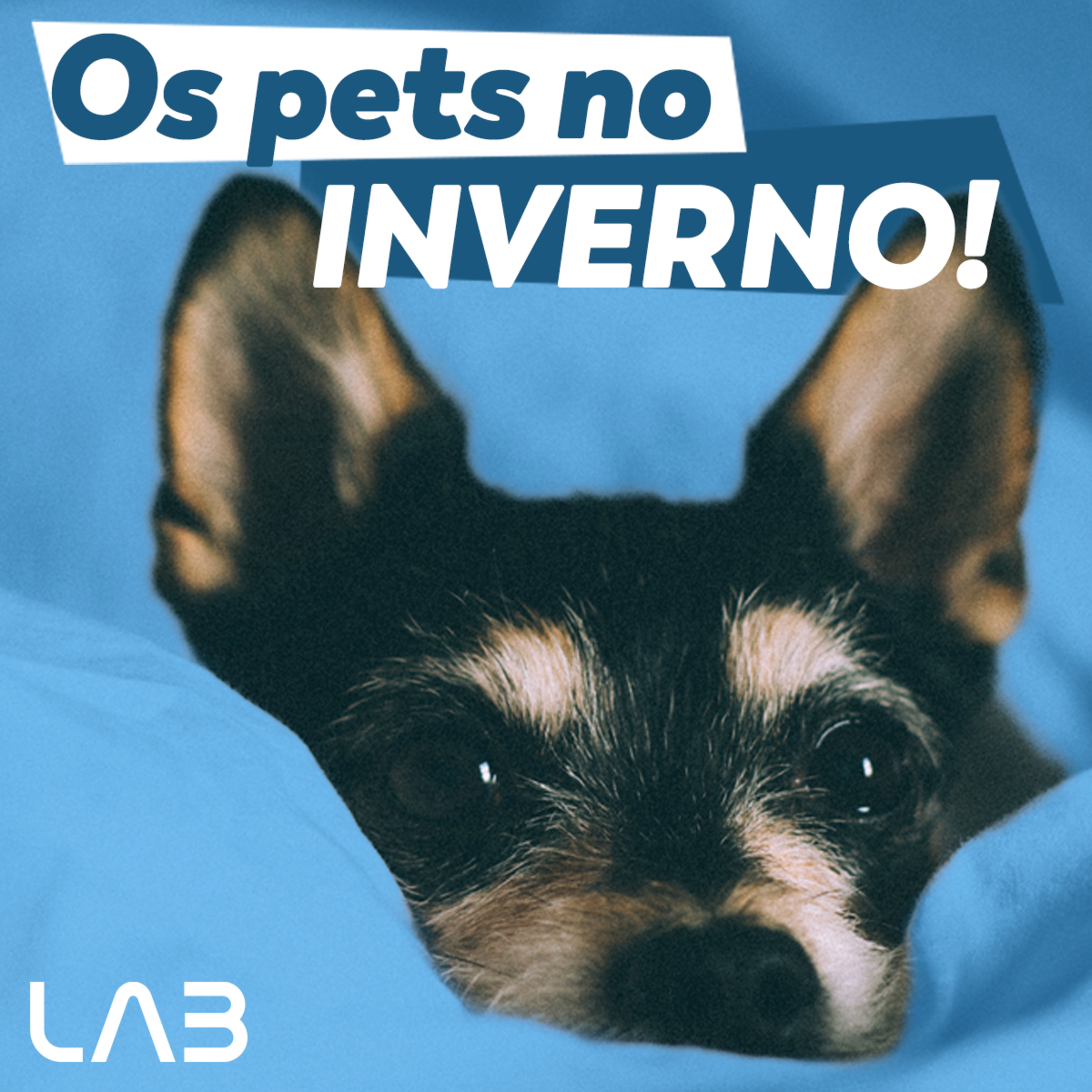 LabCast - O Podcast da Labgard!