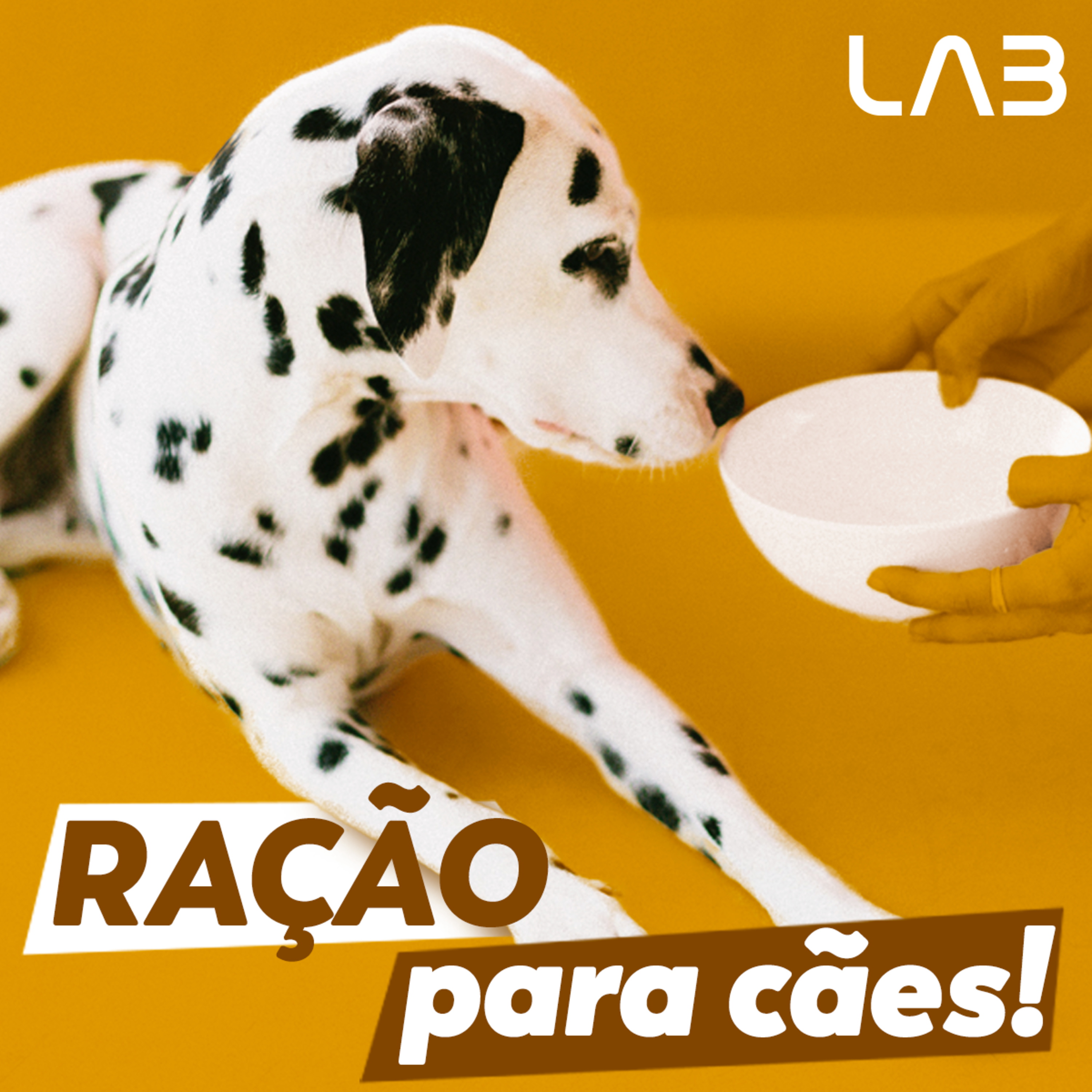 LabCast - O Podcast da Labgard!