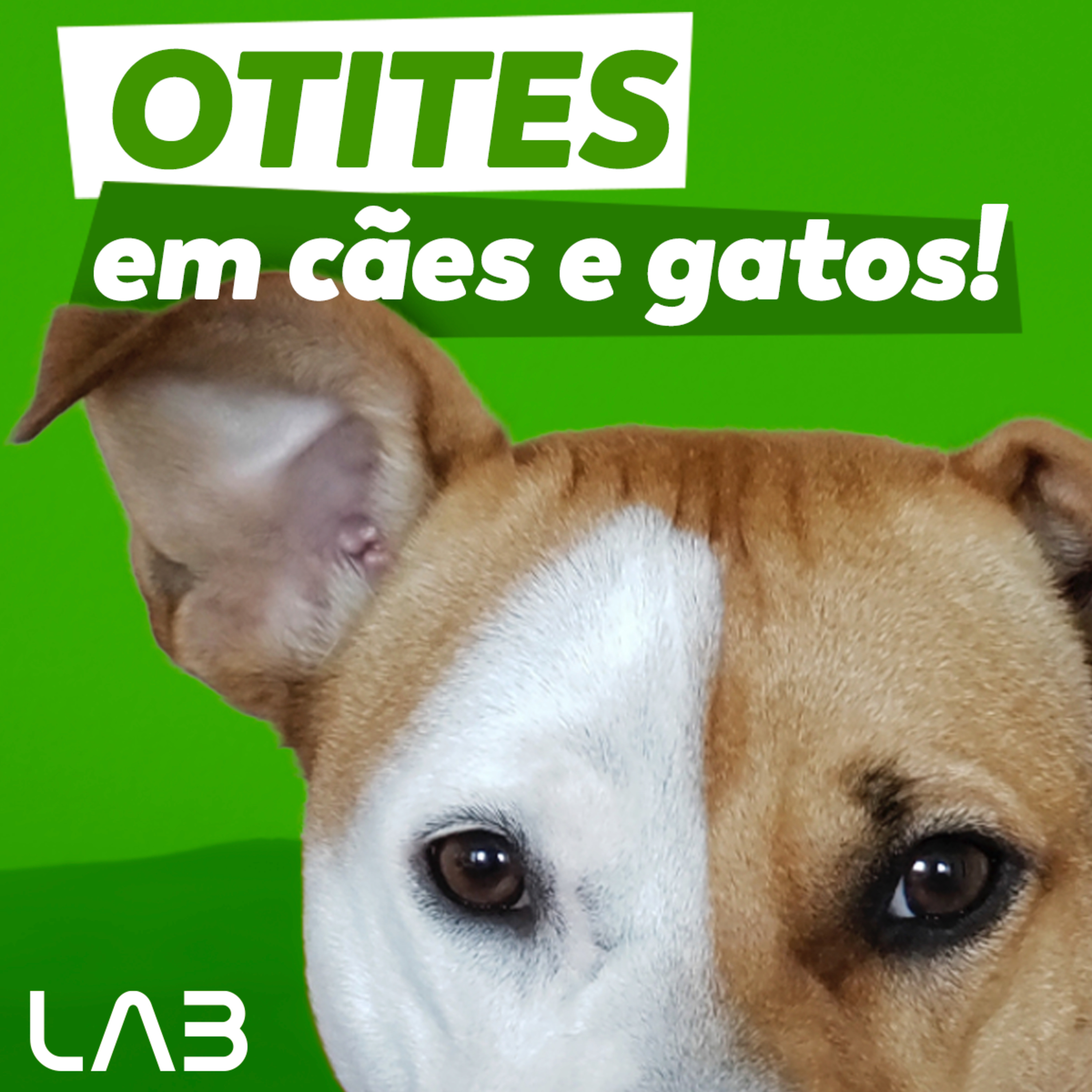 LabCast - O Podcast da Labgard!