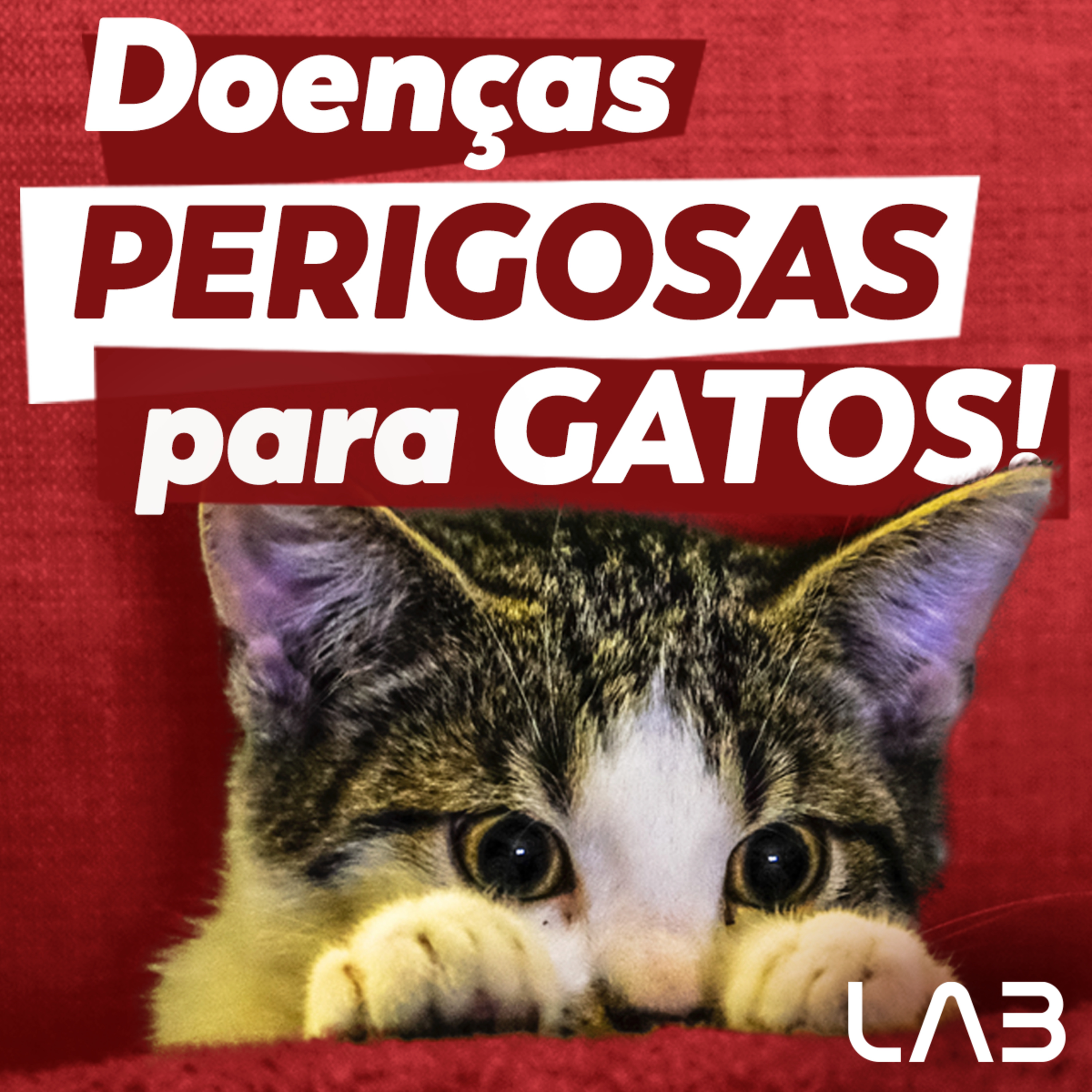 LabCast - O Podcast da Labgard!