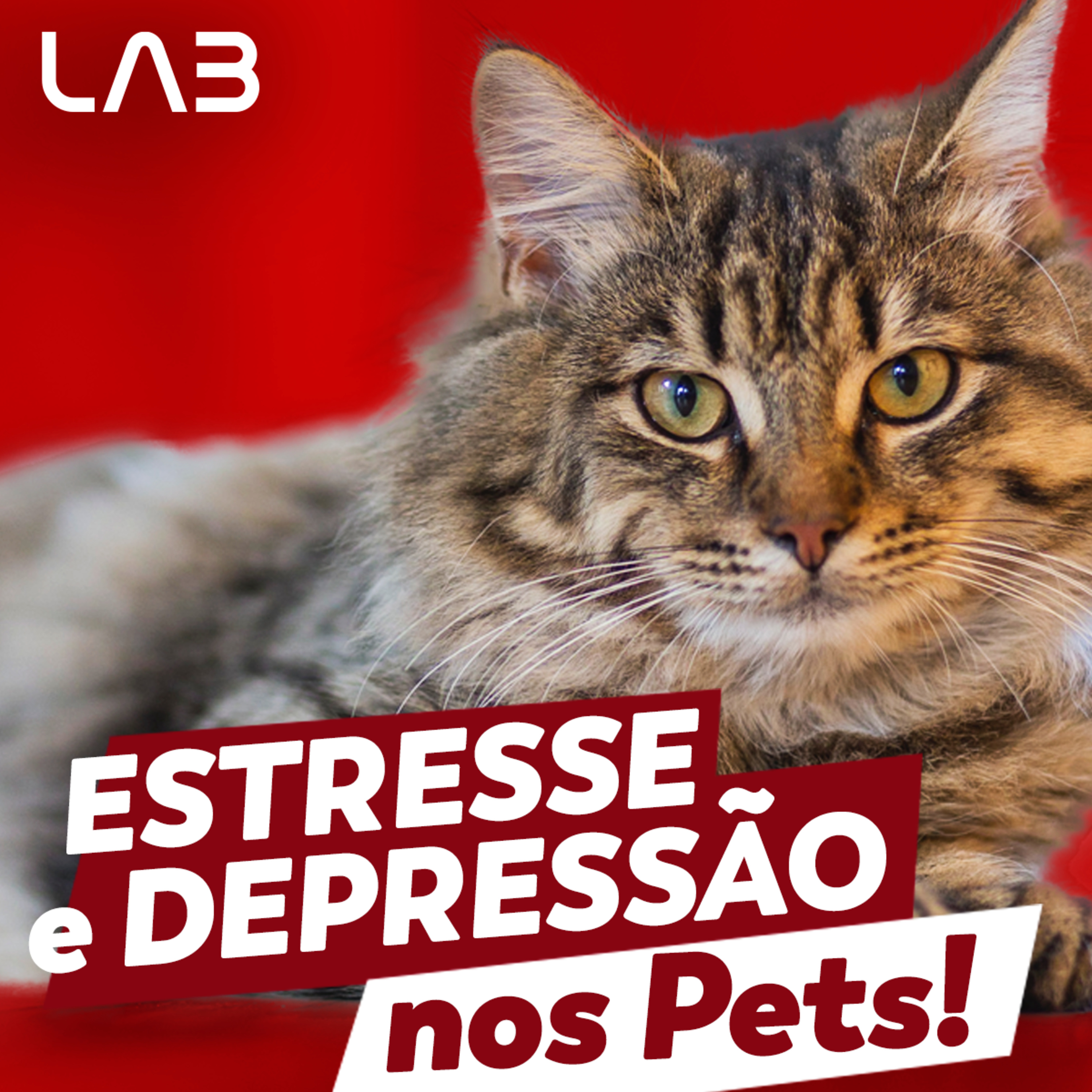 LabCast - O Podcast da Labgard!