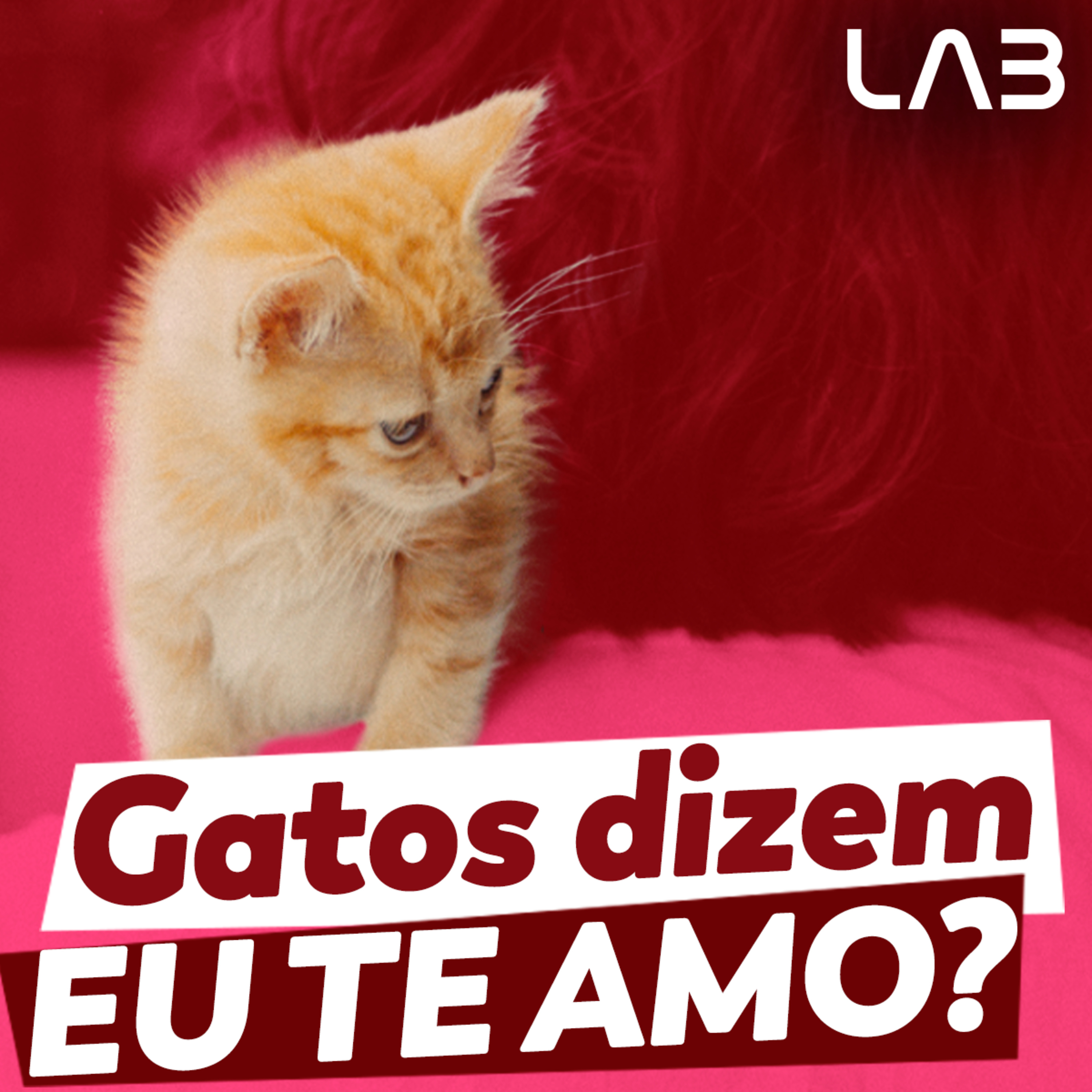 LabCast - O Podcast da Labgard!