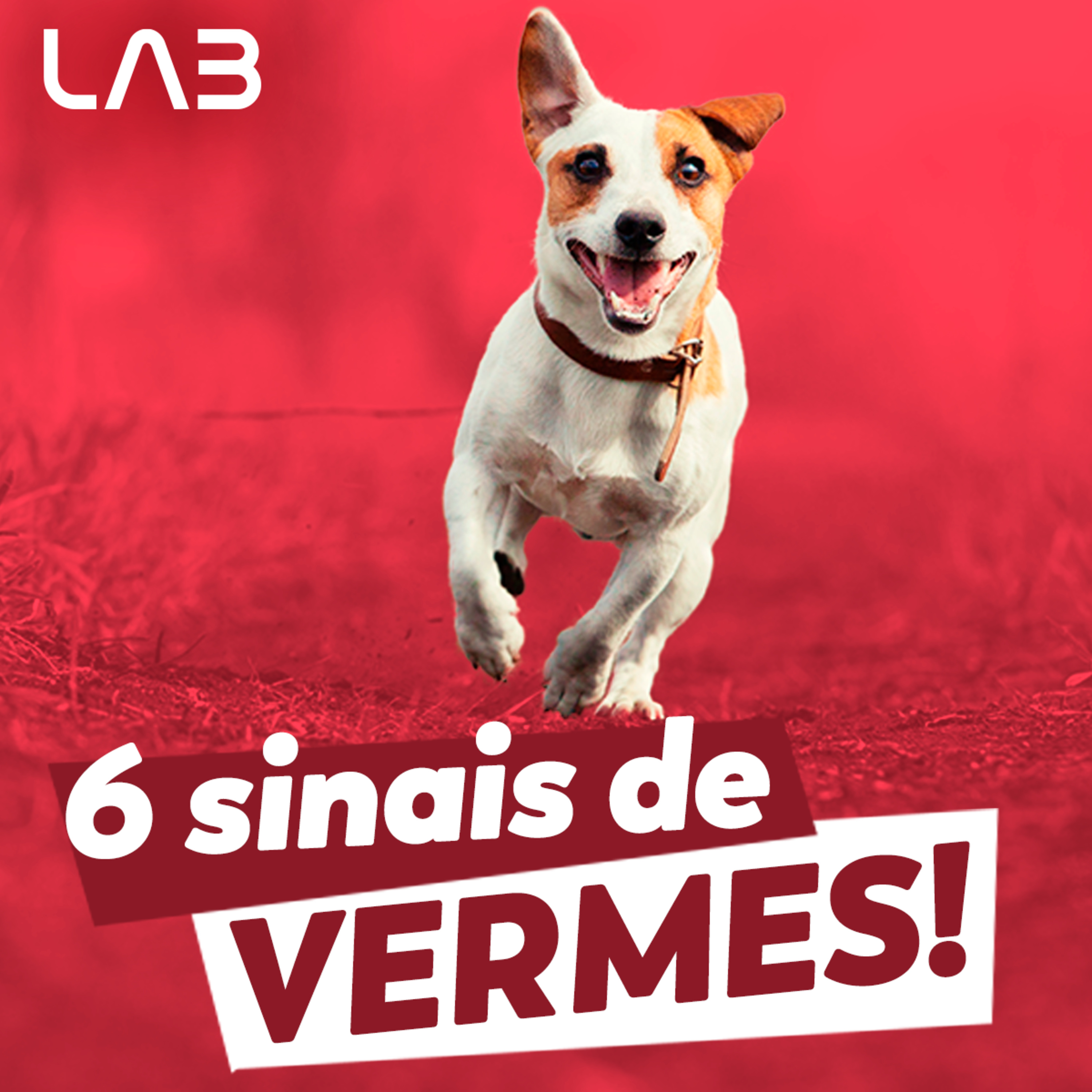 LabCast - O Podcast da Labgard!
