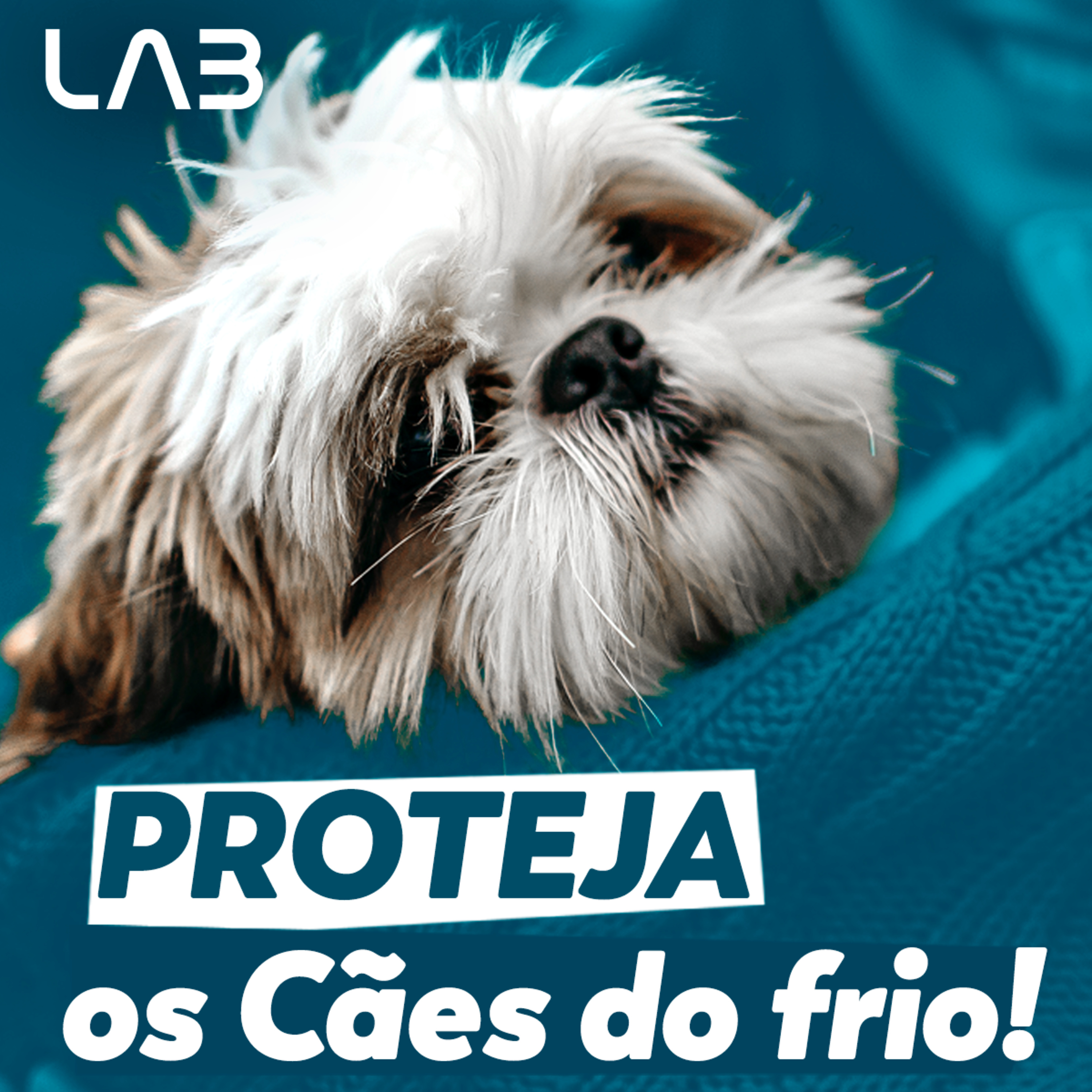 LabCast - O Podcast da Labgard!