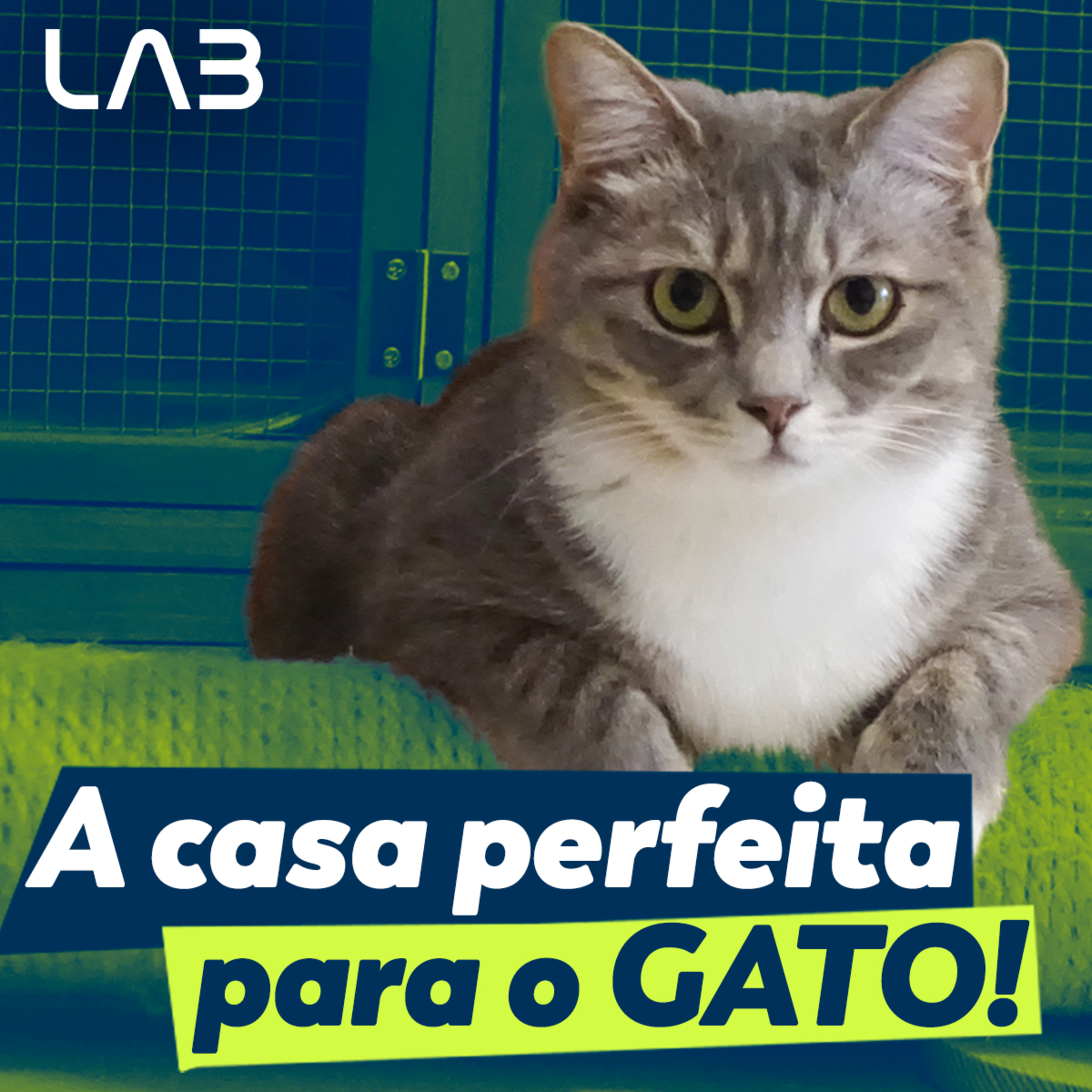 LabCast - O Podcast da Labgard!