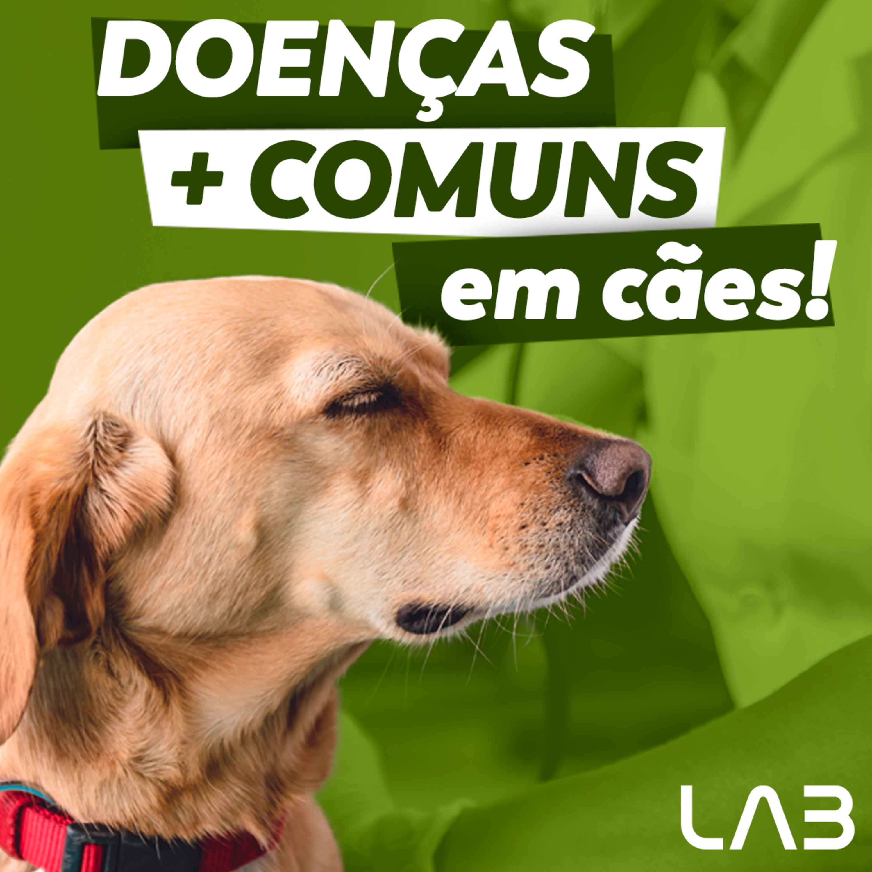LabCast - O Podcast da Labgard!