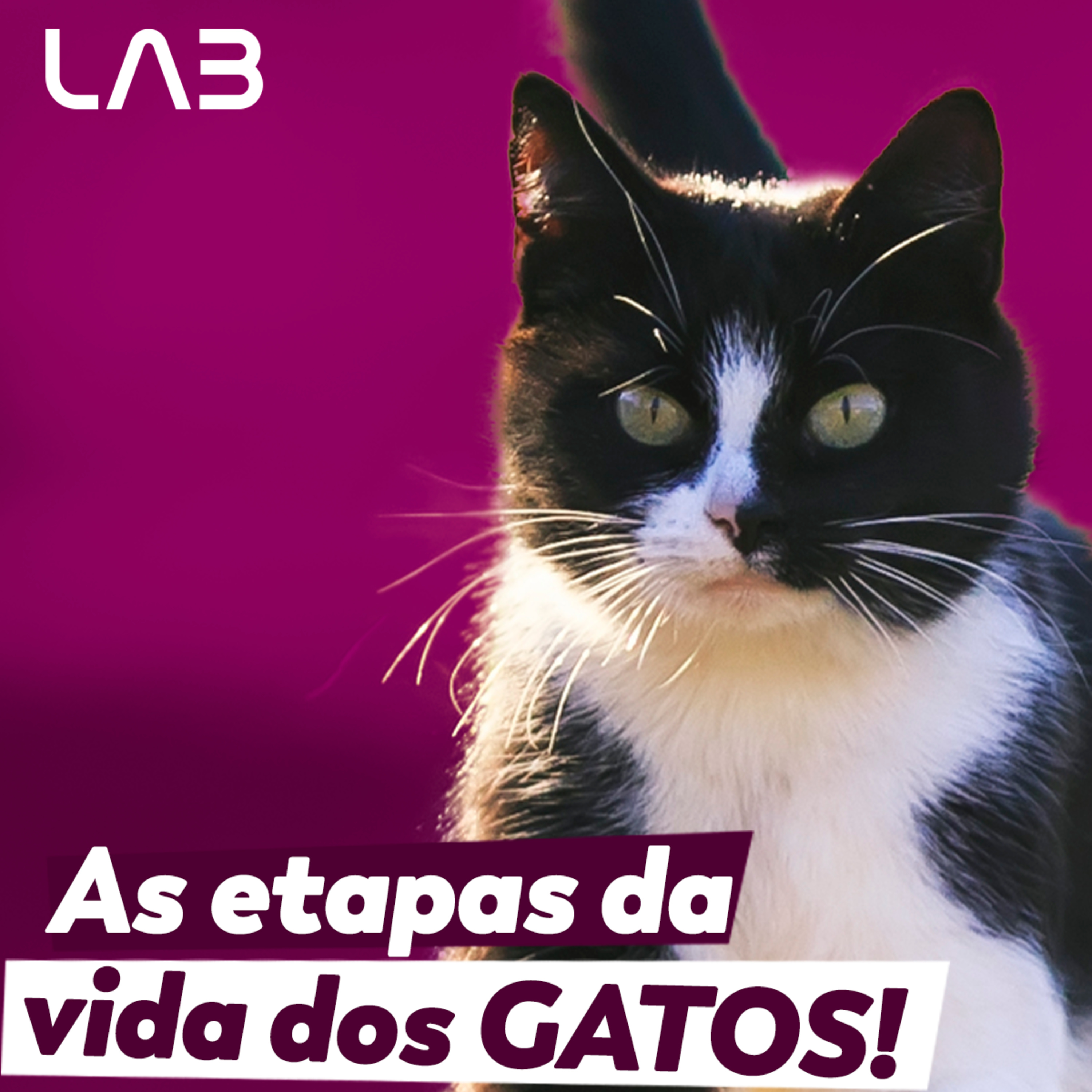 LabCast - O Podcast da Labgard!
