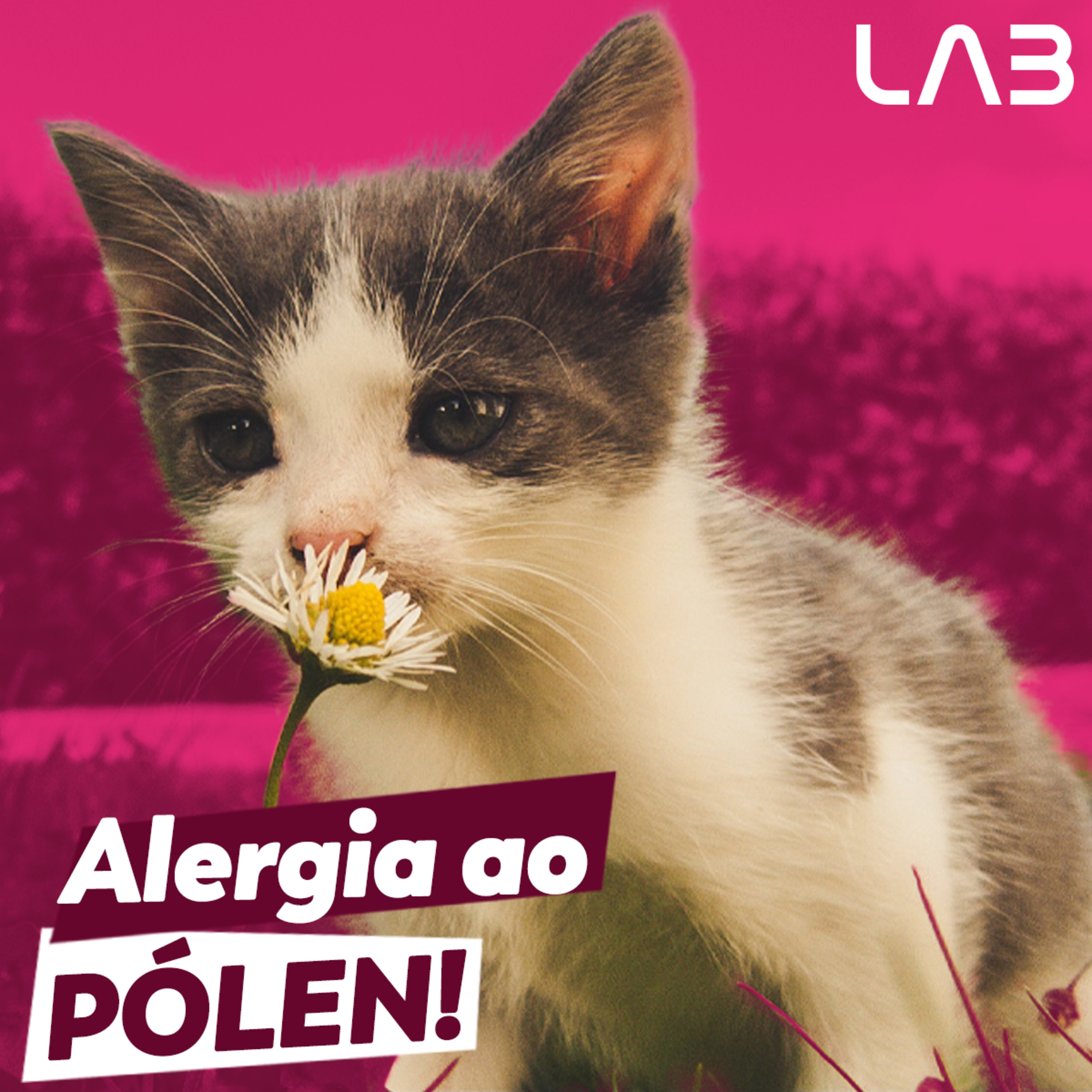LabCast - O Podcast da Labgard!