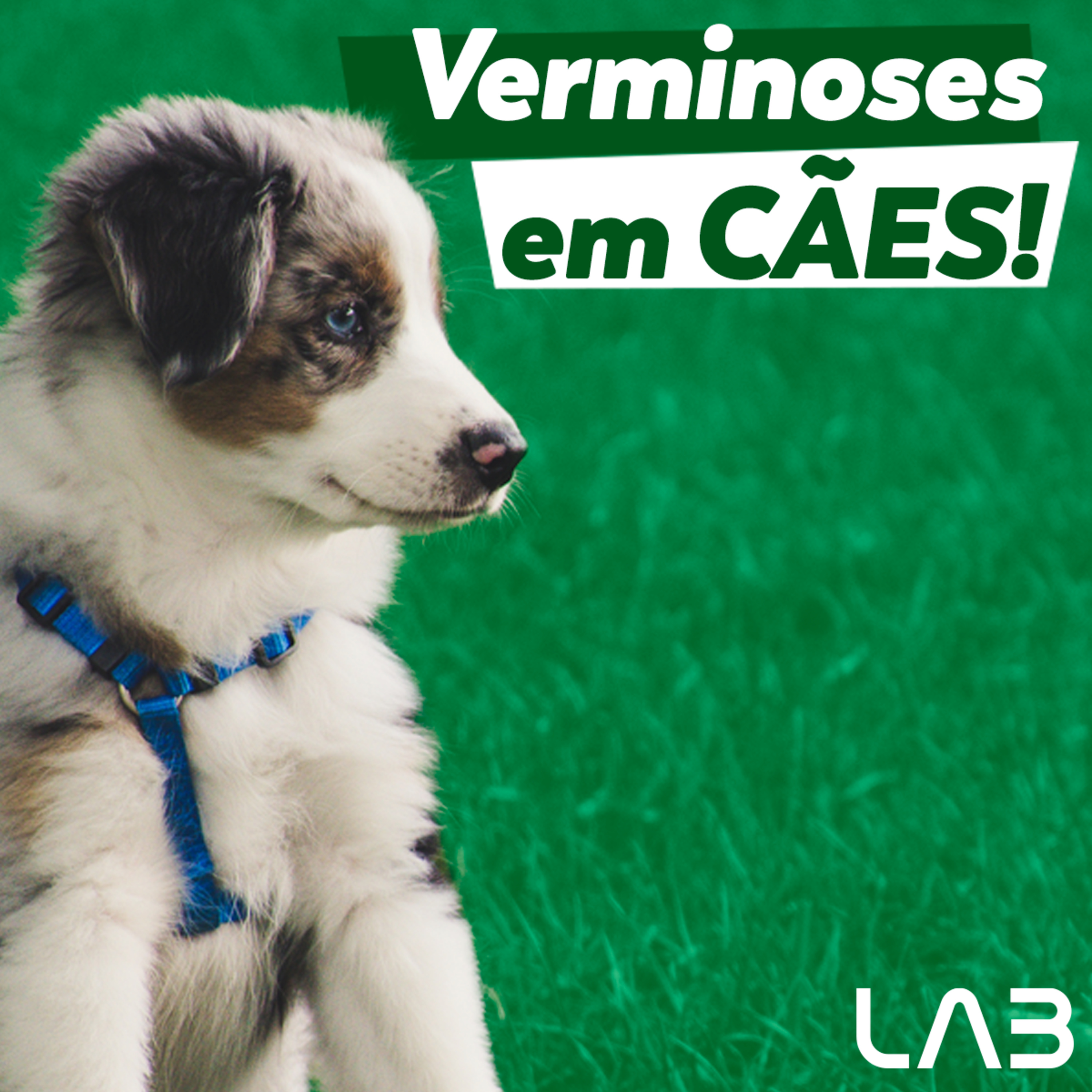 LabCast - O Podcast da Labgard!