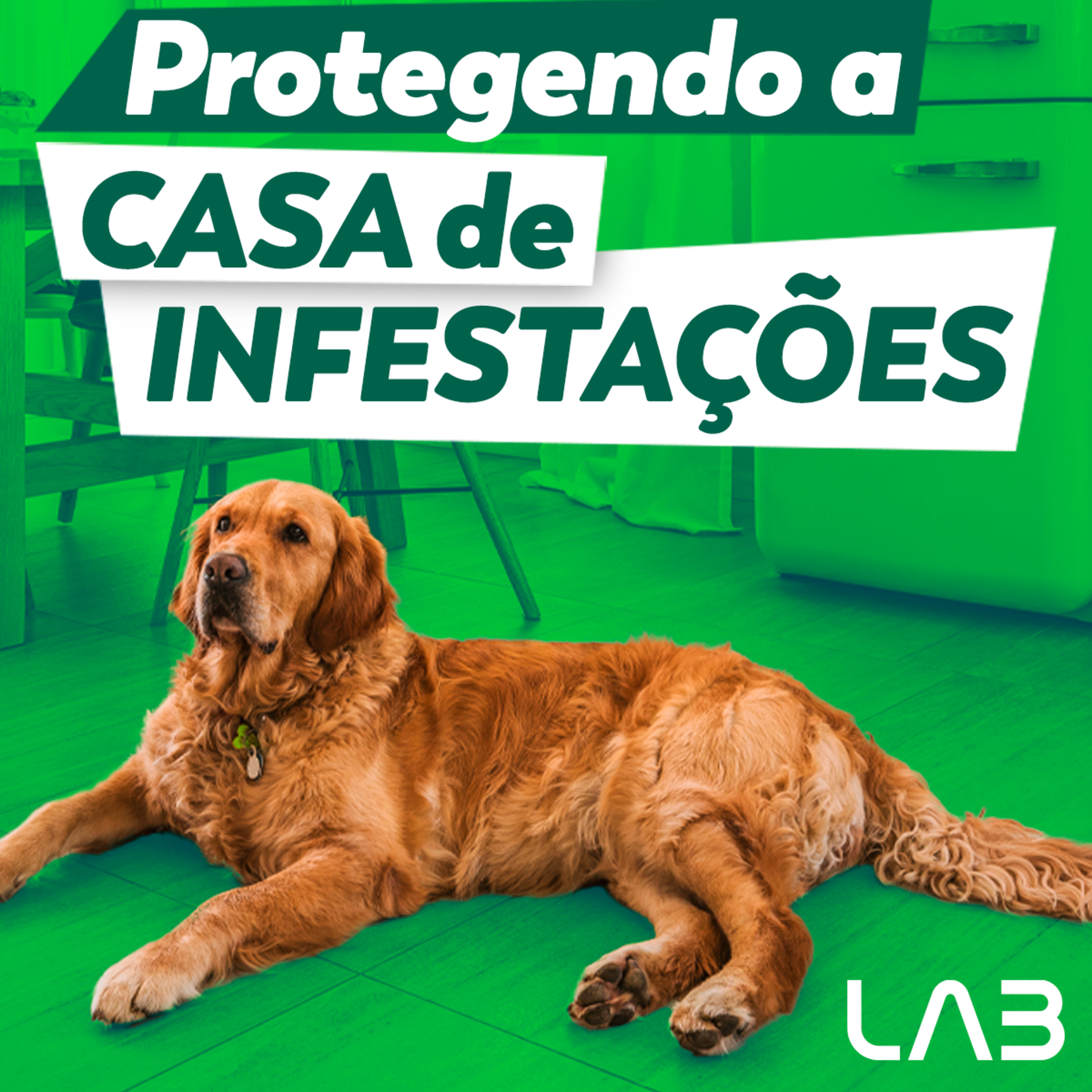 LabCast - O Podcast da Labgard!