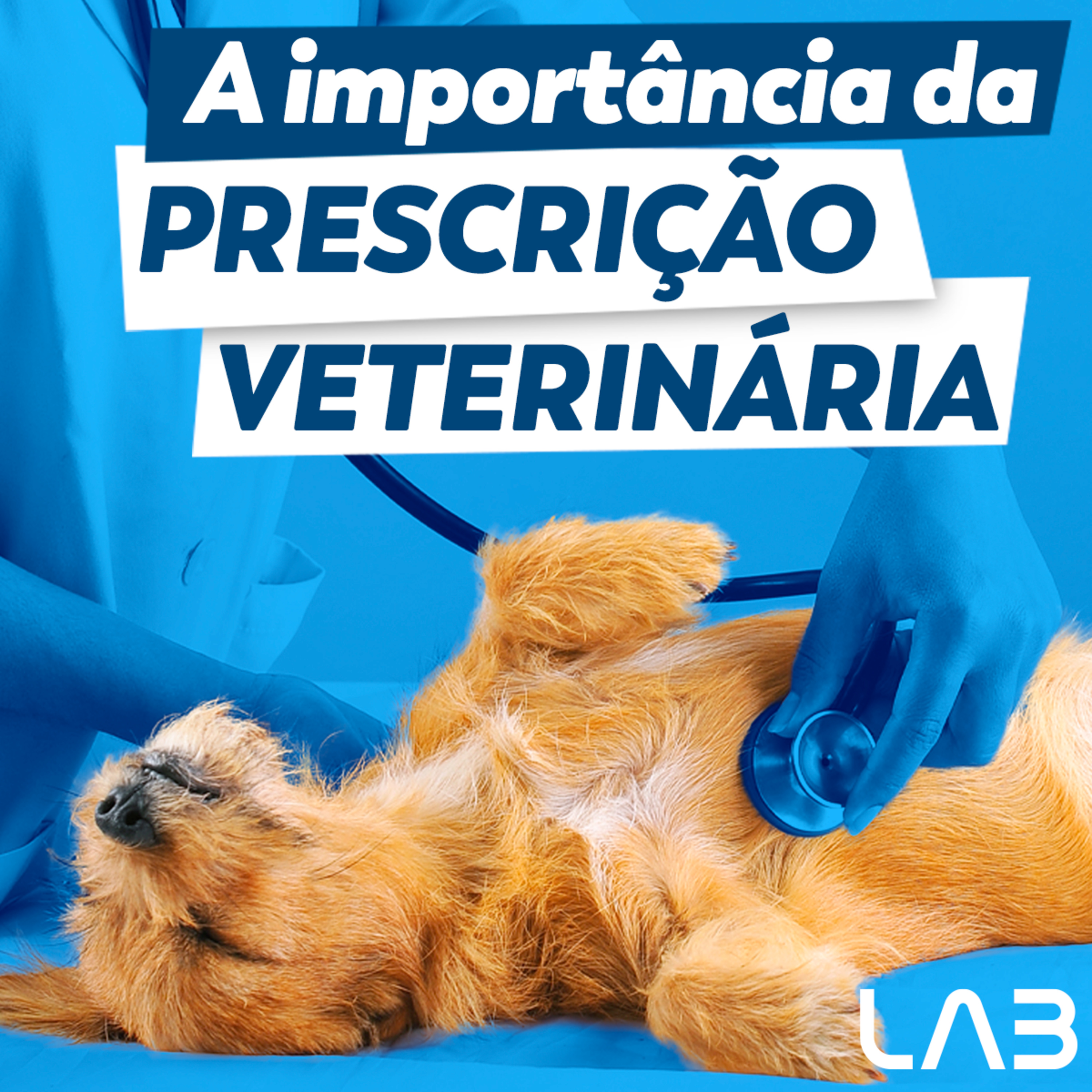 LabCast - O Podcast da Labgard!