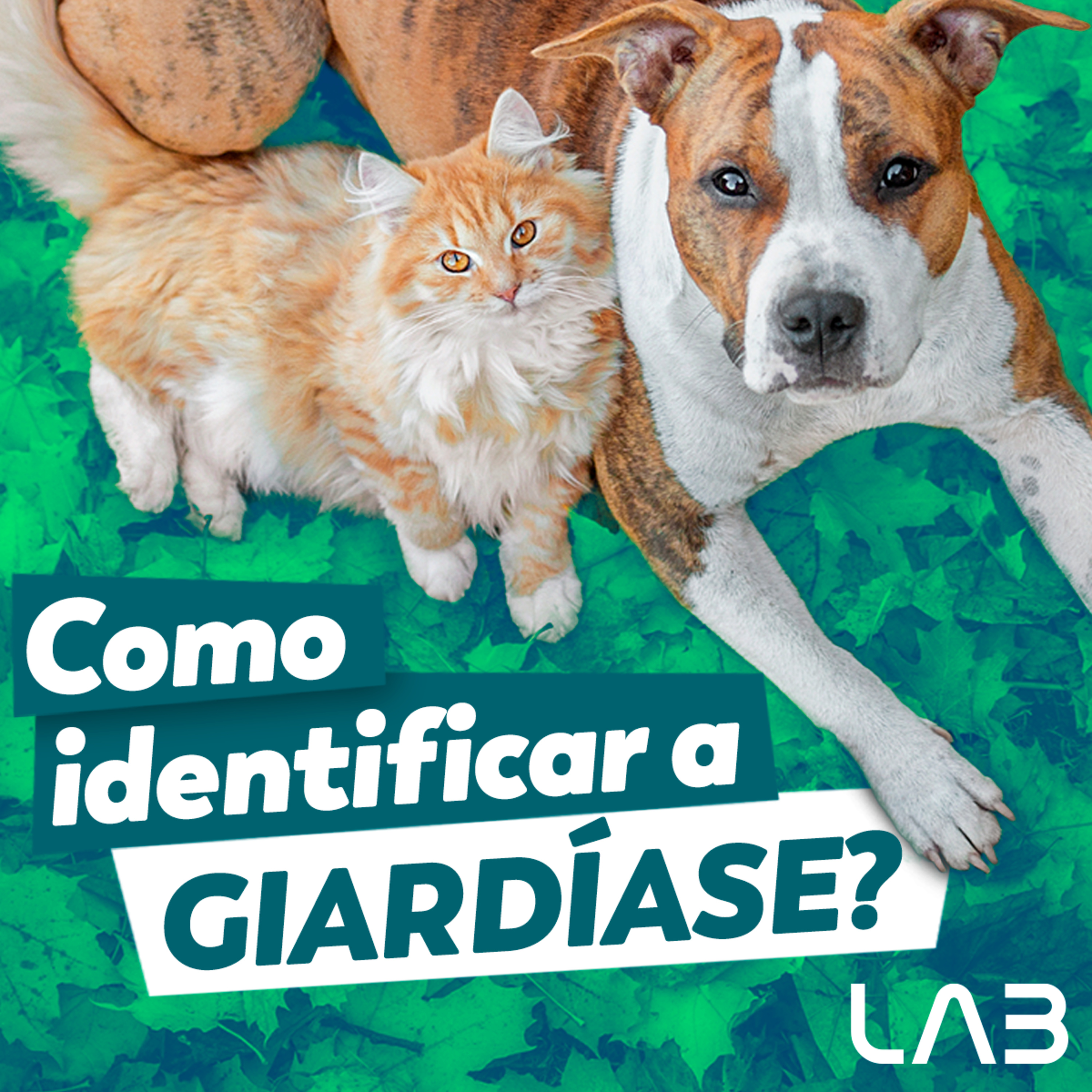 LabCast - O Podcast da Labgard!