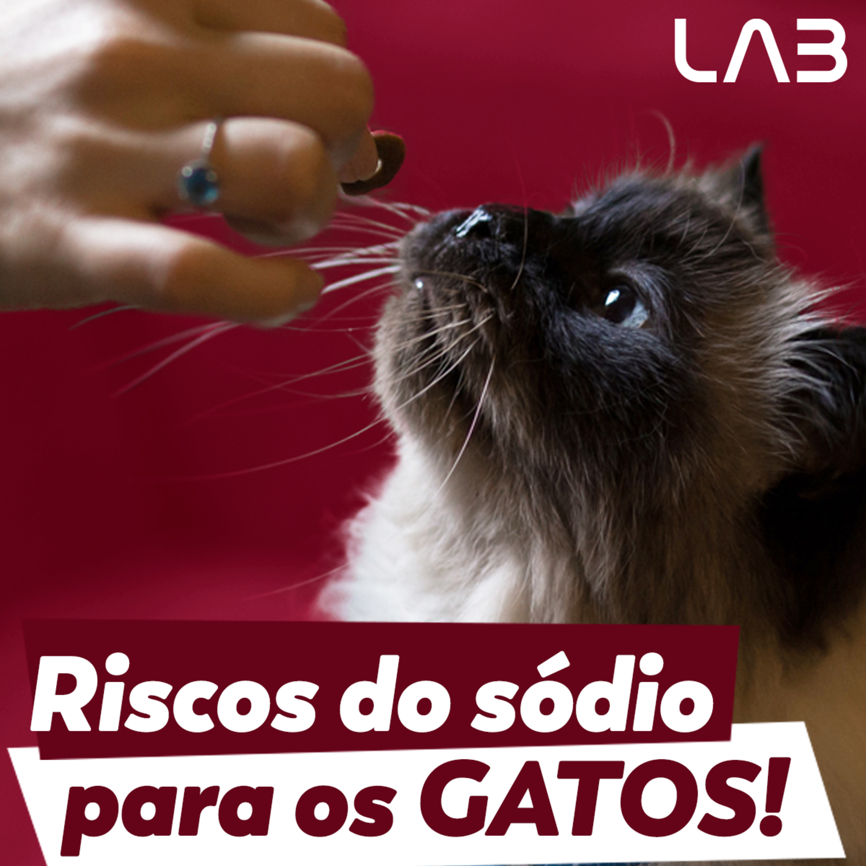 LabCast - O Podcast da Labgard!