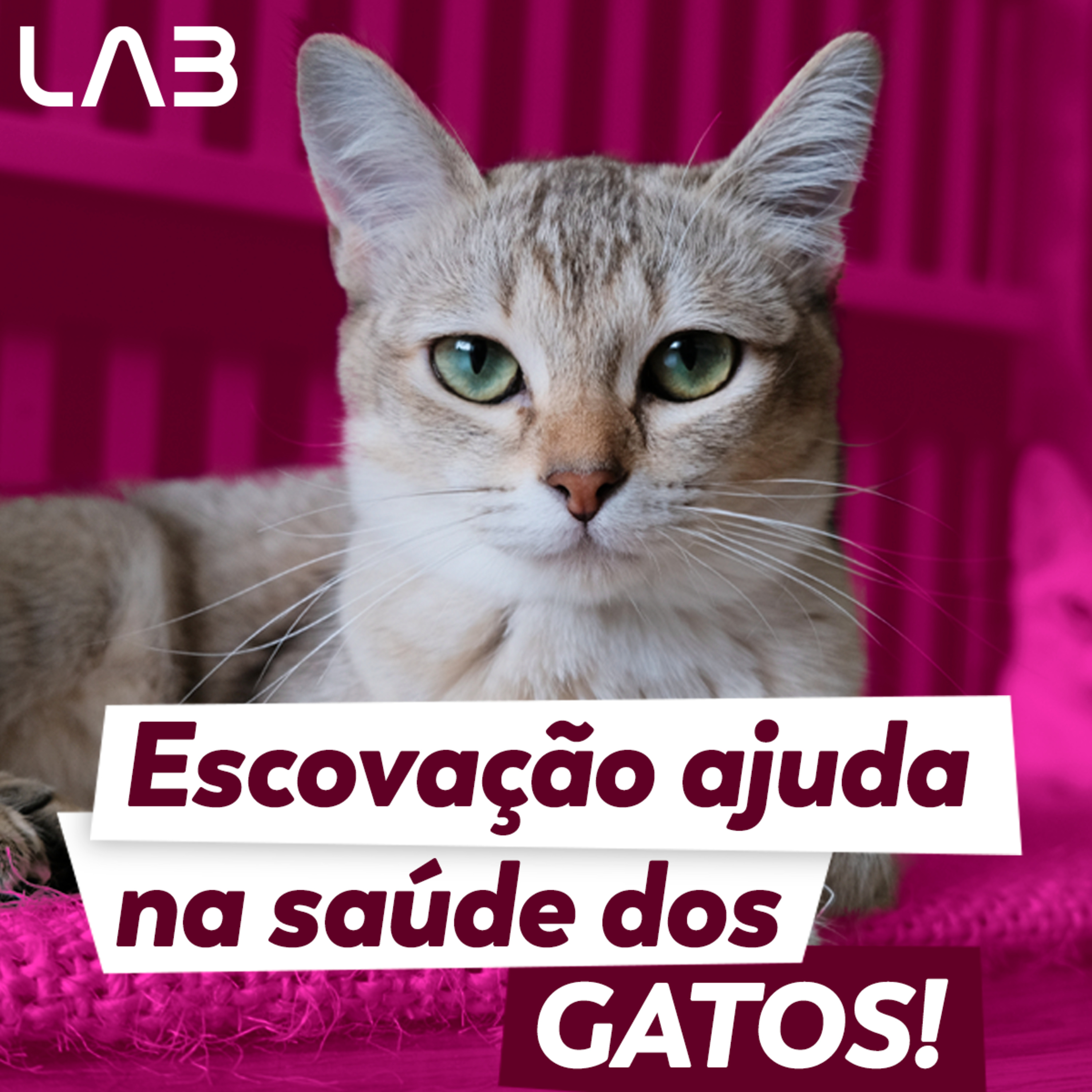 LabCast - O Podcast da Labgard!